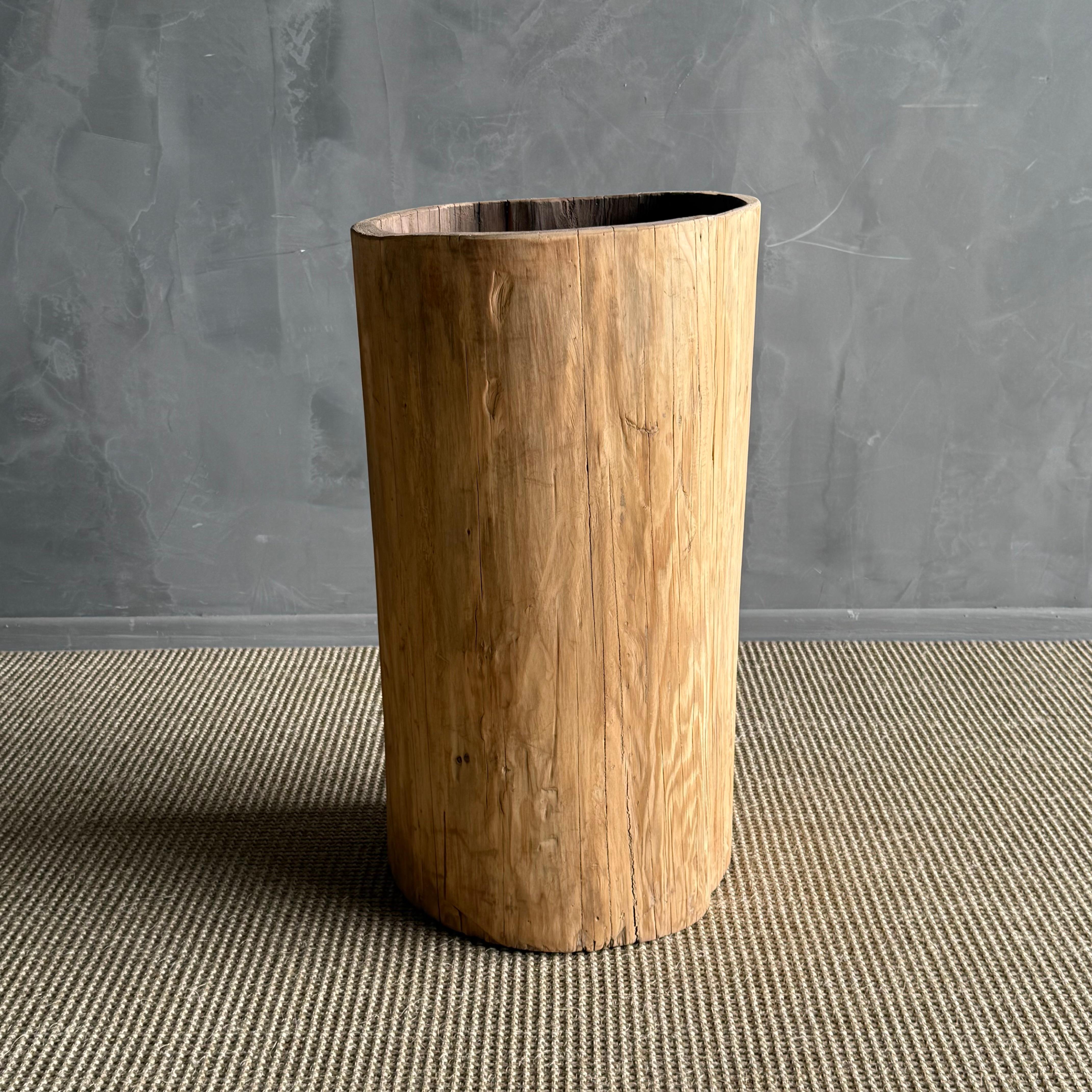 Organico moderno Vaso di un vecchio ceppo di albero scavato in vendita