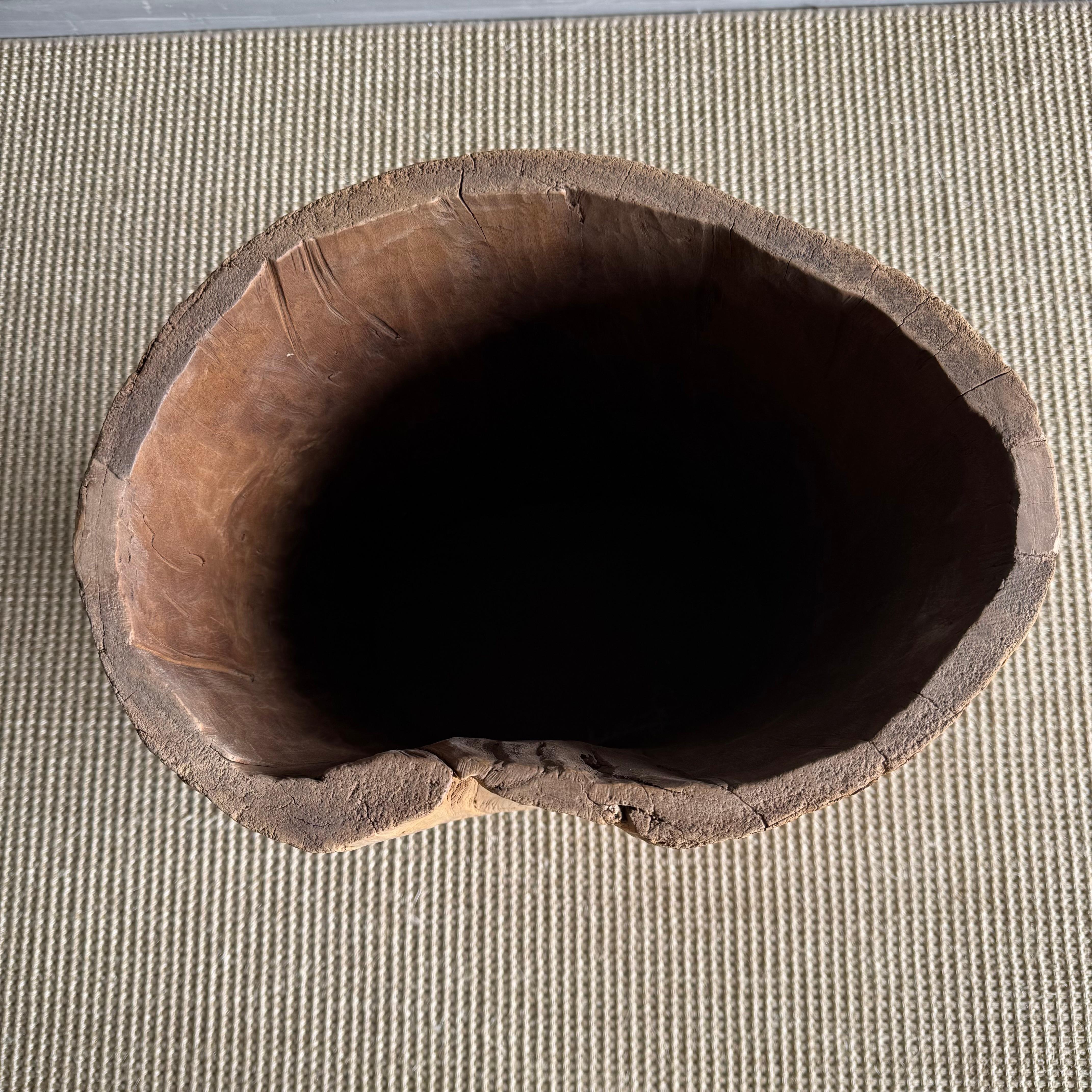 Vaso di un vecchio ceppo di albero scavato In condizioni buone in vendita a Old Town Orange, CA