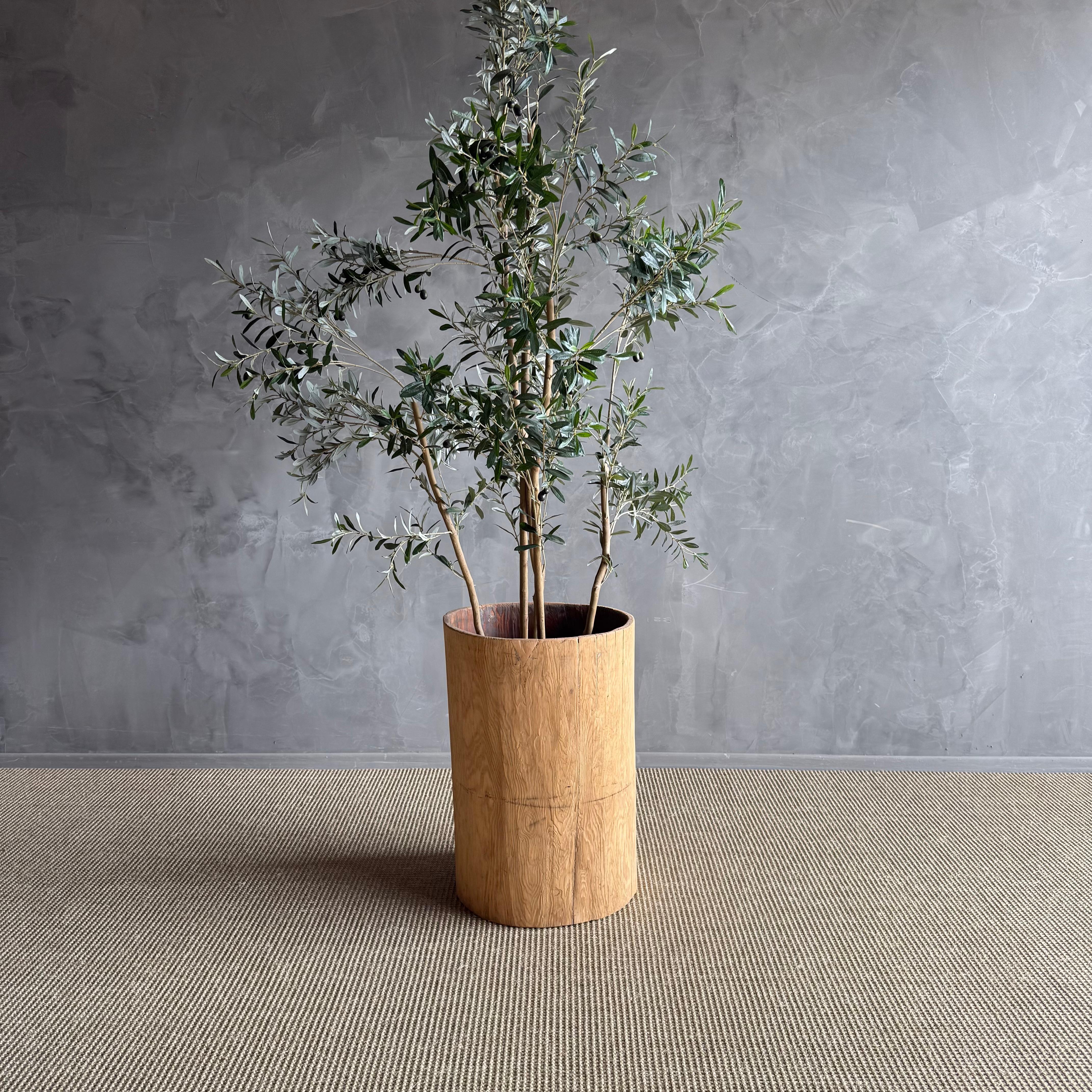 Legno Vaso di un vecchio ceppo di albero scavato in vendita