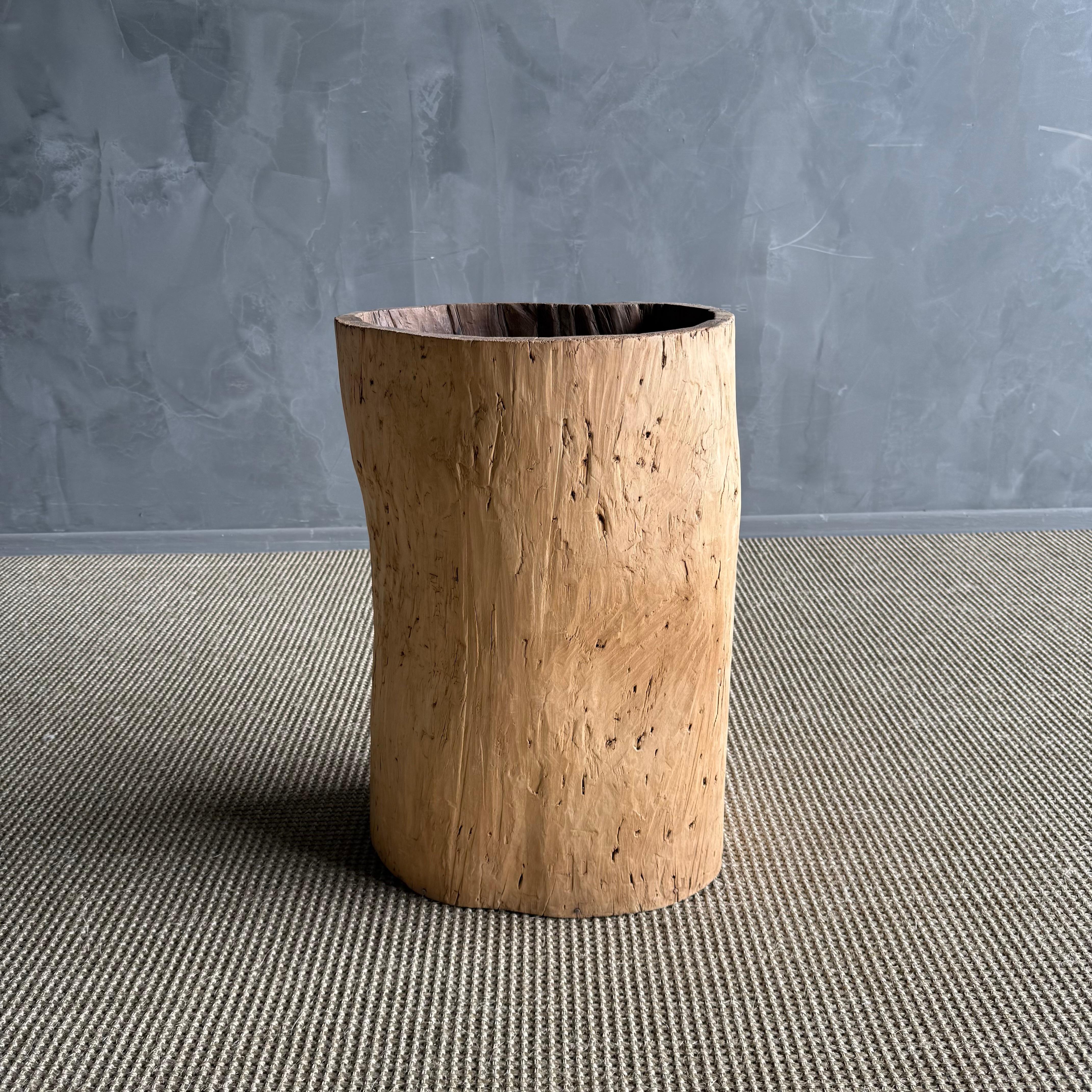 Legno Vaso di un vecchio ceppo di albero scavato in vendita