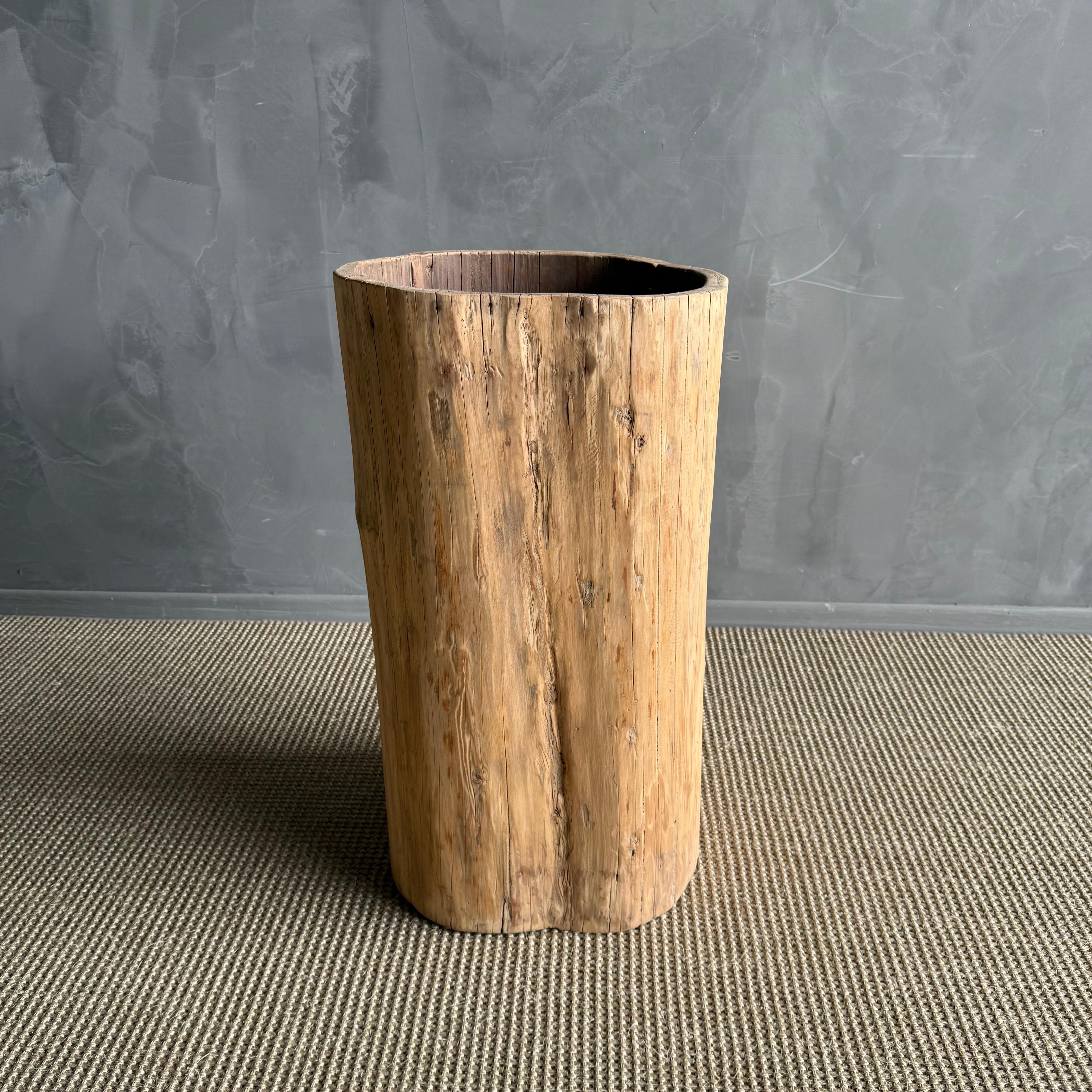 Legno Vaso di un vecchio ceppo di albero scavato in vendita