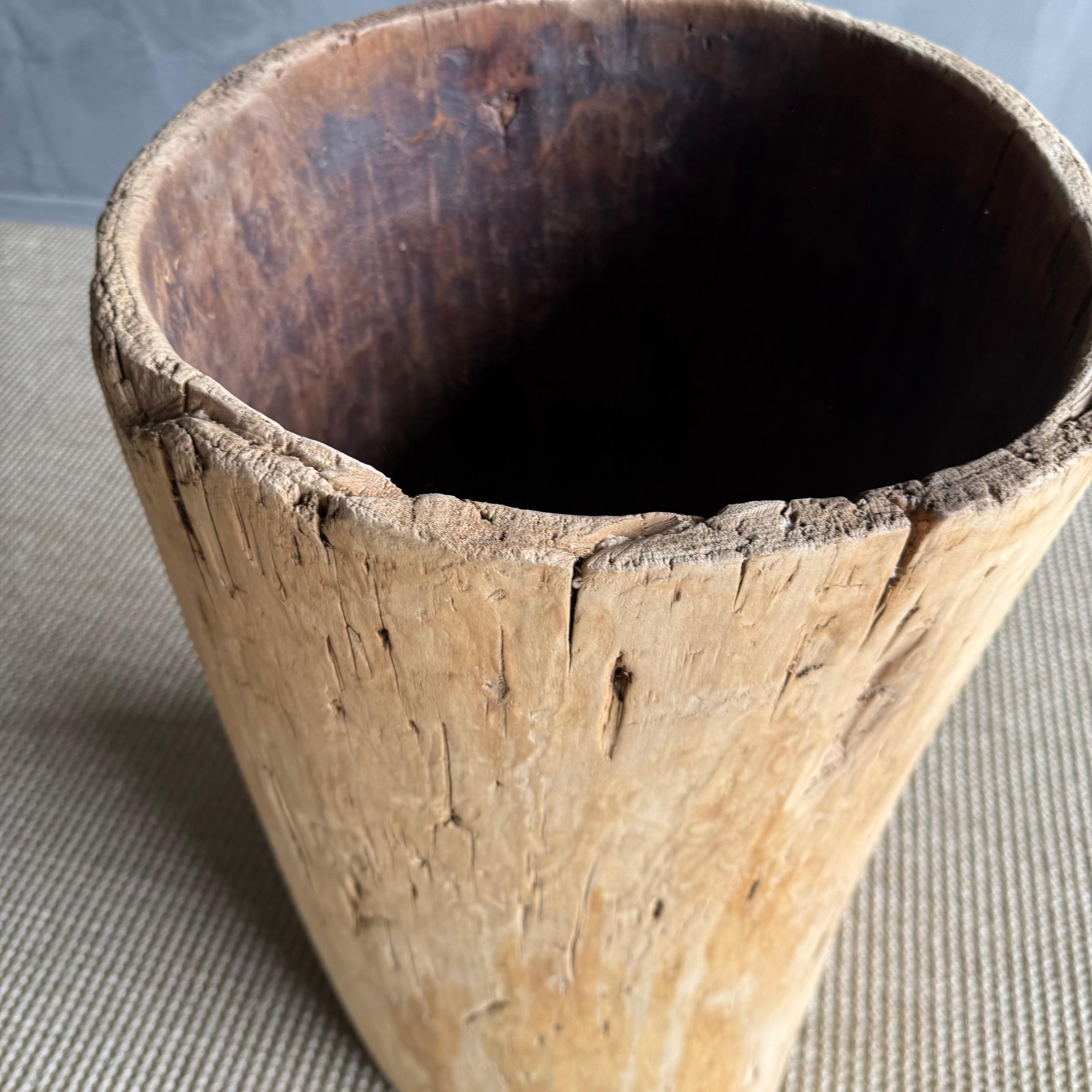 Vaso di un vecchio ceppo di albero scavato in vendita 1