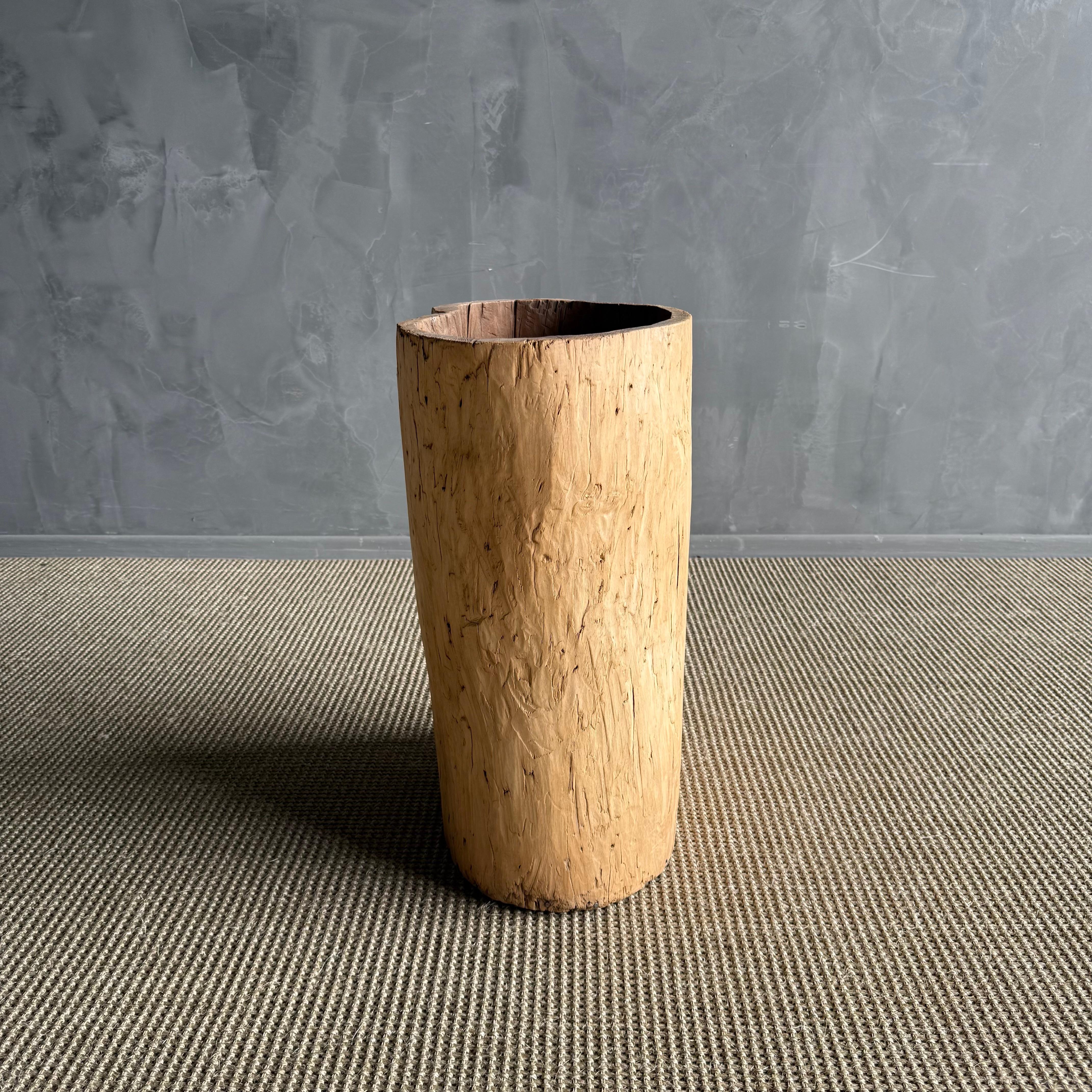 Vaso di un vecchio ceppo di albero scavato in vendita 1