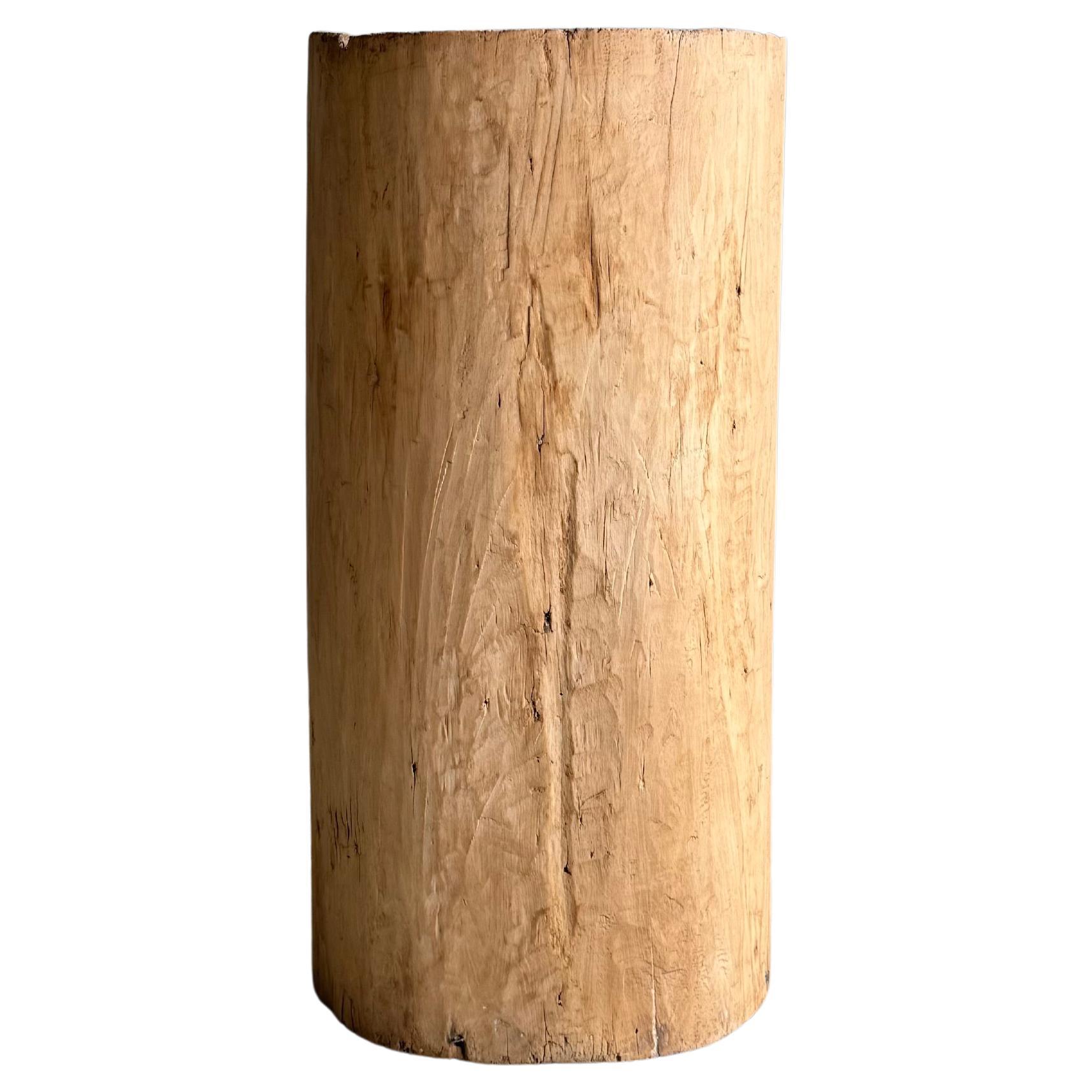 Old Hollowed Out Tree Stump Vessel
