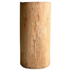 Old Hollowed Out Tree Stump Vessel