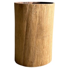Old Hollowed Out Tree Stump Vessel