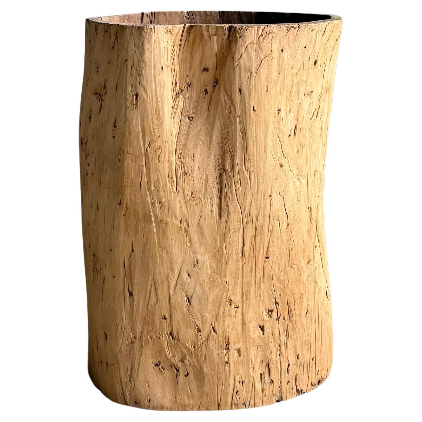 Vaso di un vecchio ceppo di albero scavato