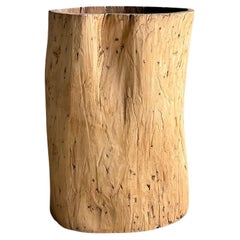 Old Hollowed Out Tree Stump Vessel