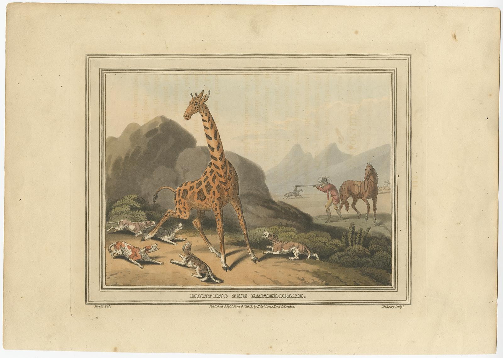 Antique print titled 'Hunting the Camelopard', the Giraffe was often called the camelopard. 

This print originates from Samuel Howitt's 'Foreign Field Sports'.

Artists and Engravers: Samuel Howitt was an English painter, illustrator and etcher