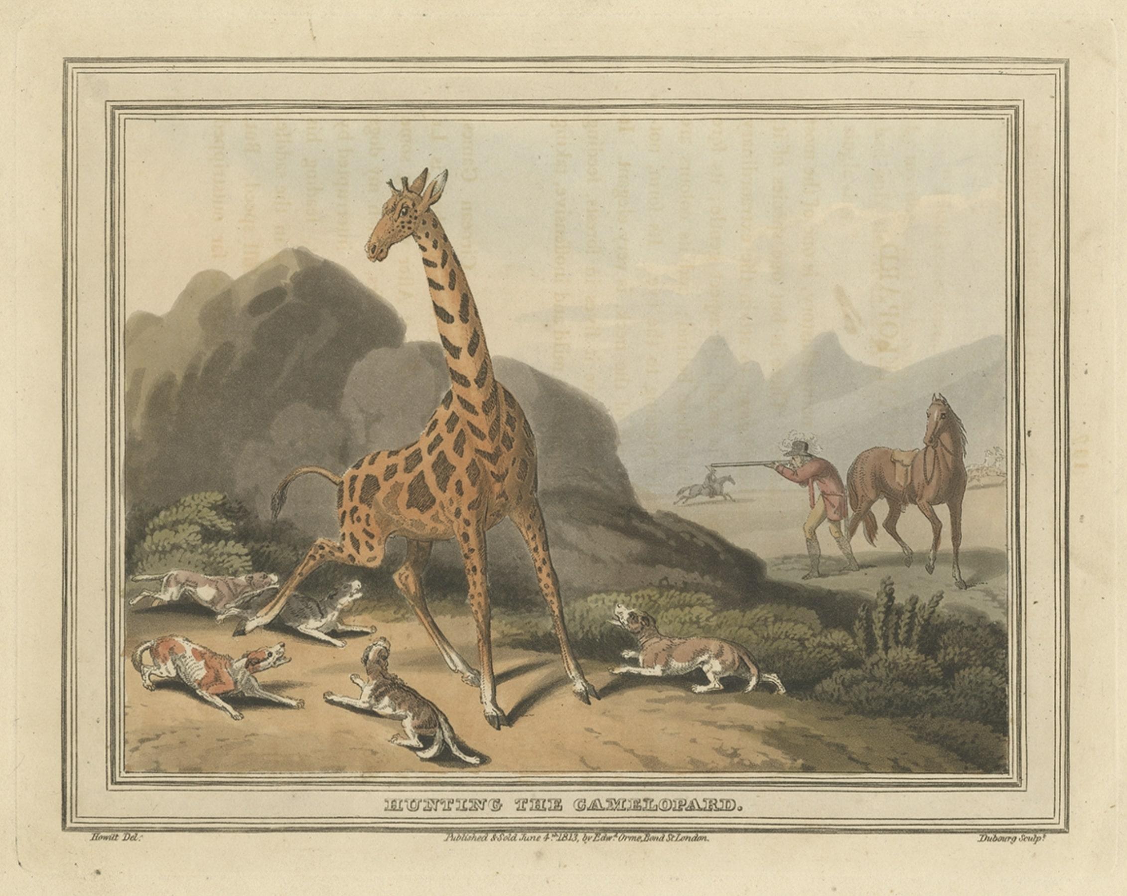 Old Hunting Scene of the 'Camelopard', a Name Often Used for a Giraffe, 1813 In Good Condition For Sale In Langweer, NL