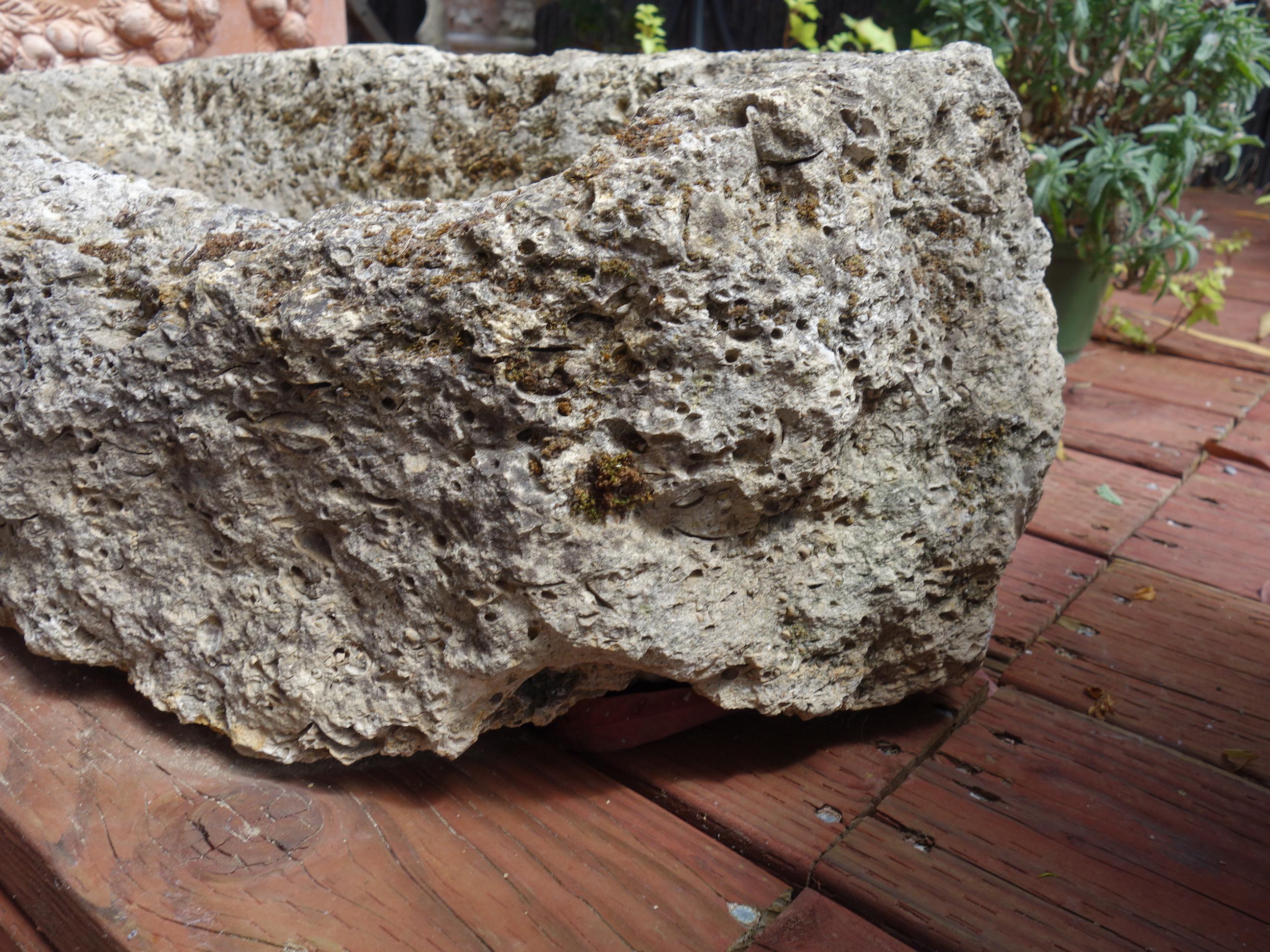 Old Italian Primitive Fossil Stone Trough Hand Carved from Ancient Limestone  For Sale 2