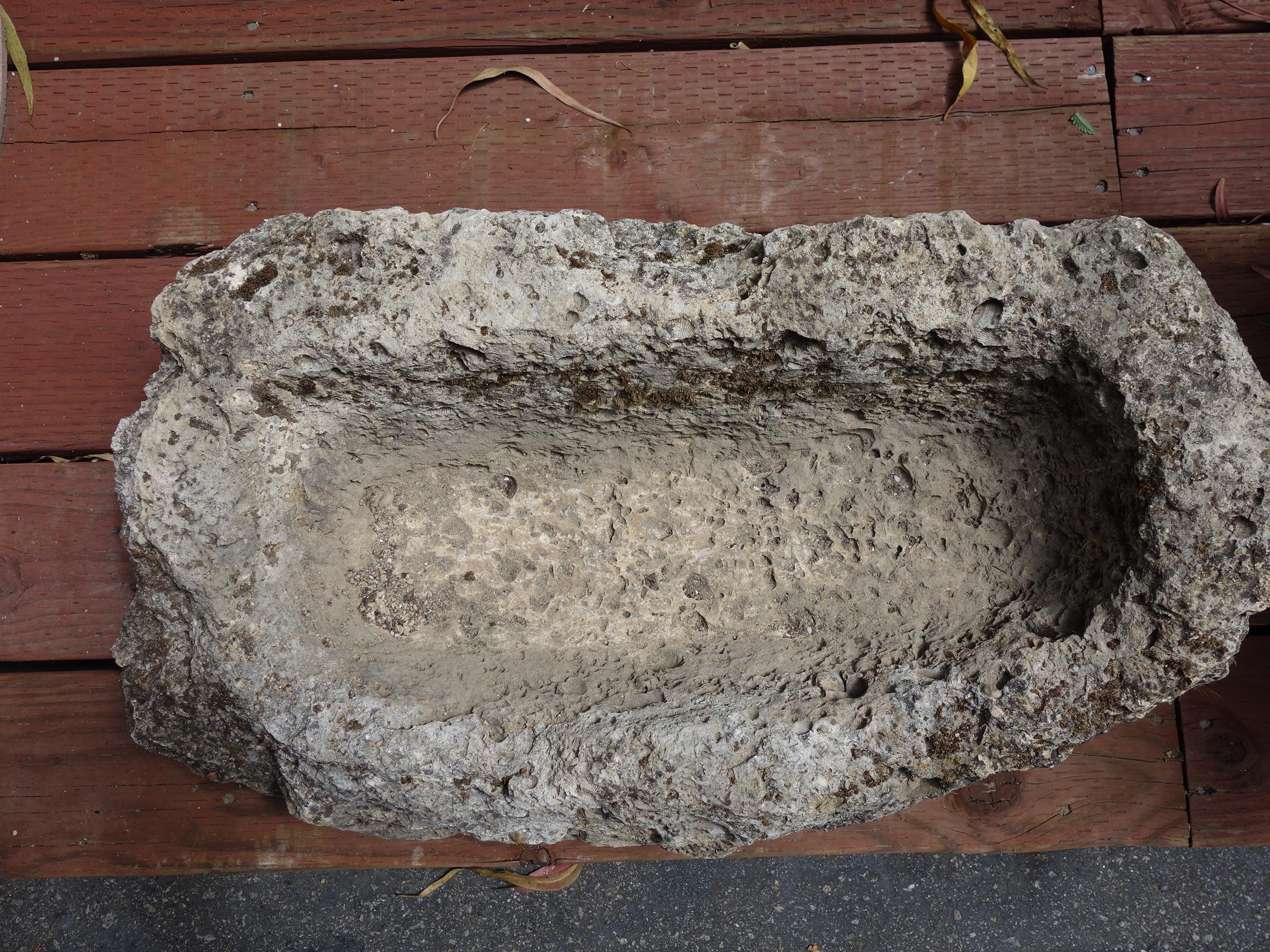 Old Italian Primitive Fossil Stone Trough Hand Carved from Ancient Limestone  For Sale 3