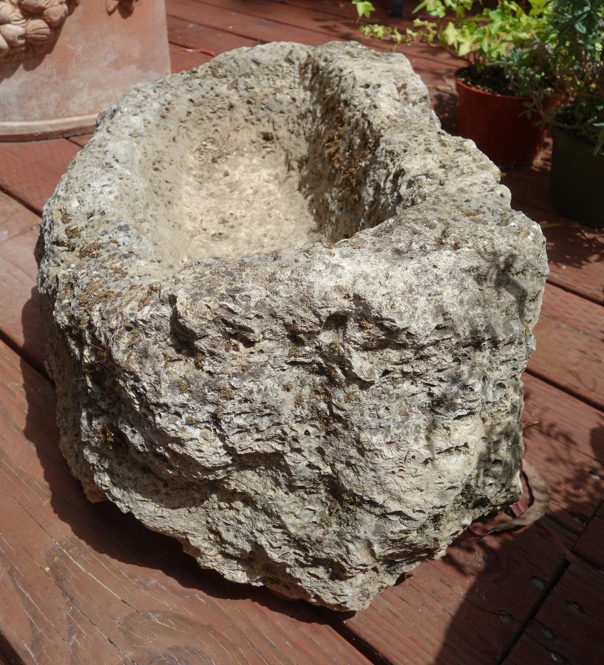 Old Italian Primitive Fossil Stone Trough Hand Carved from Ancient Limestone  For Sale 4