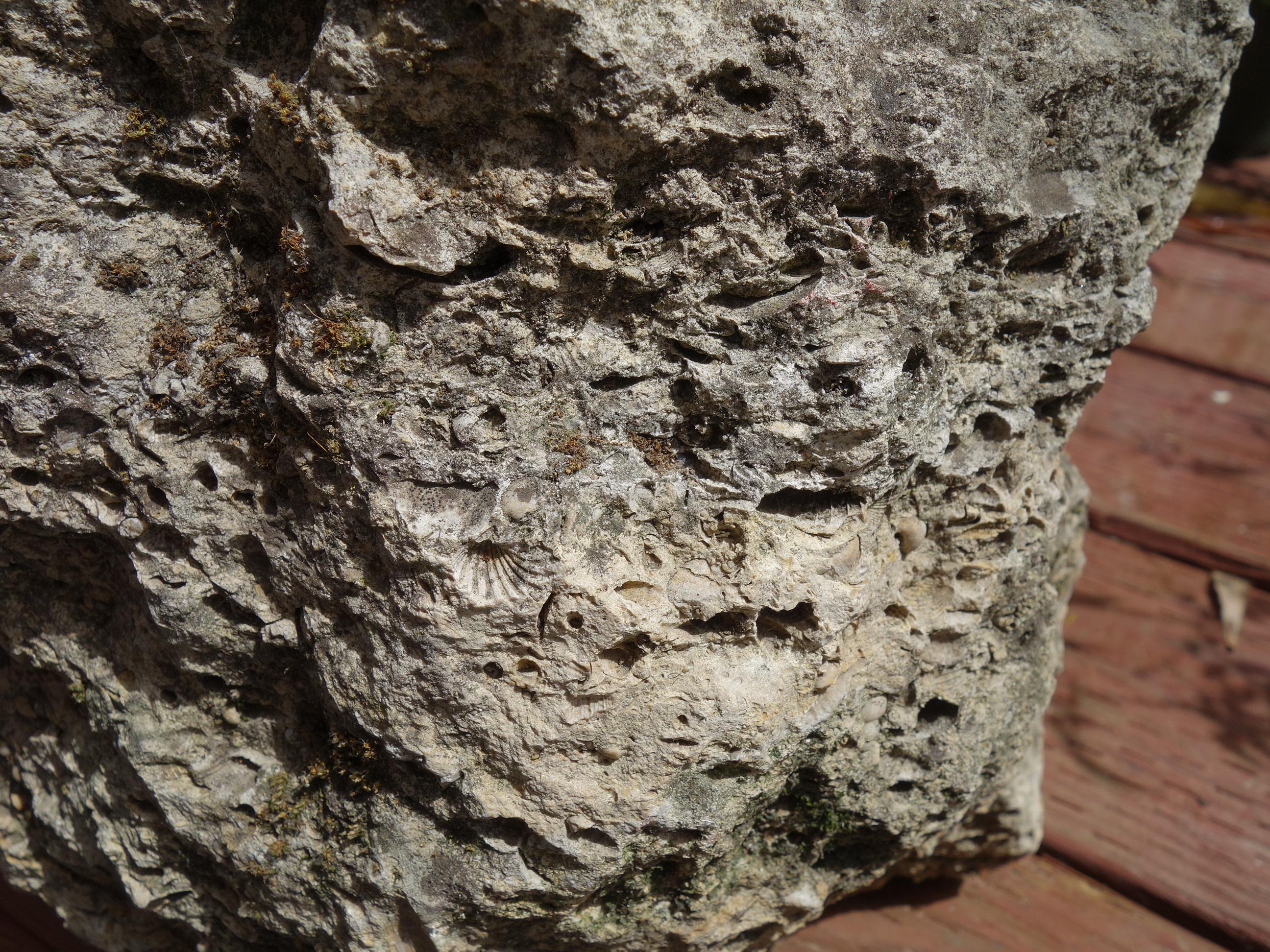 Old Italian Primitive Fossil Stein Trog Hand aus alten Kalkstein geschnitzt im Angebot 7