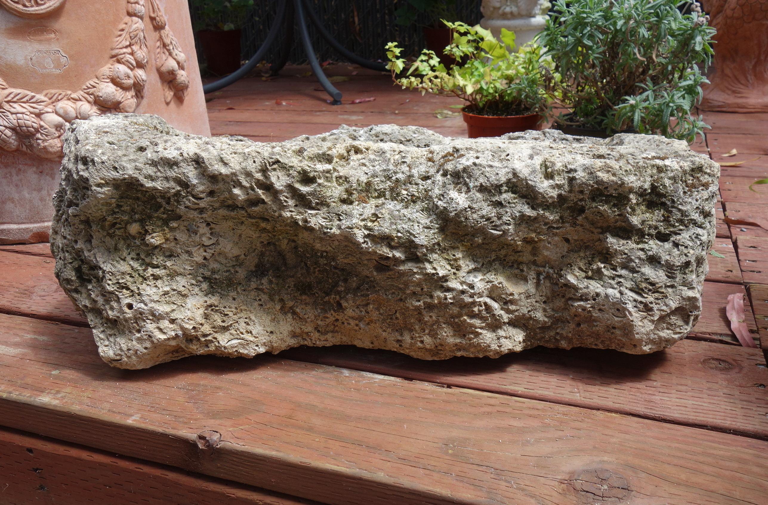 Old Italian Primitive Fossil Stone Trough Hand Carved from Ancient Limestone  For Sale 6