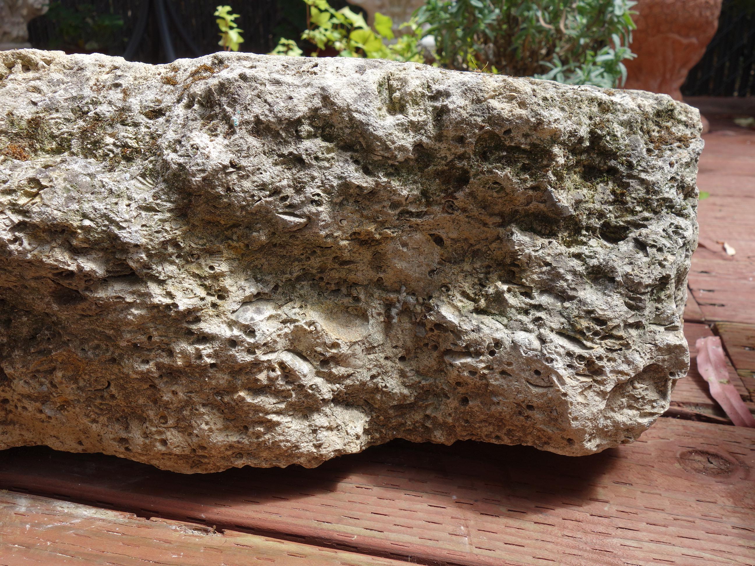 Old Italian Primitive Fossil Stone Trough Hand Carved from Ancient Limestone  For Sale 7