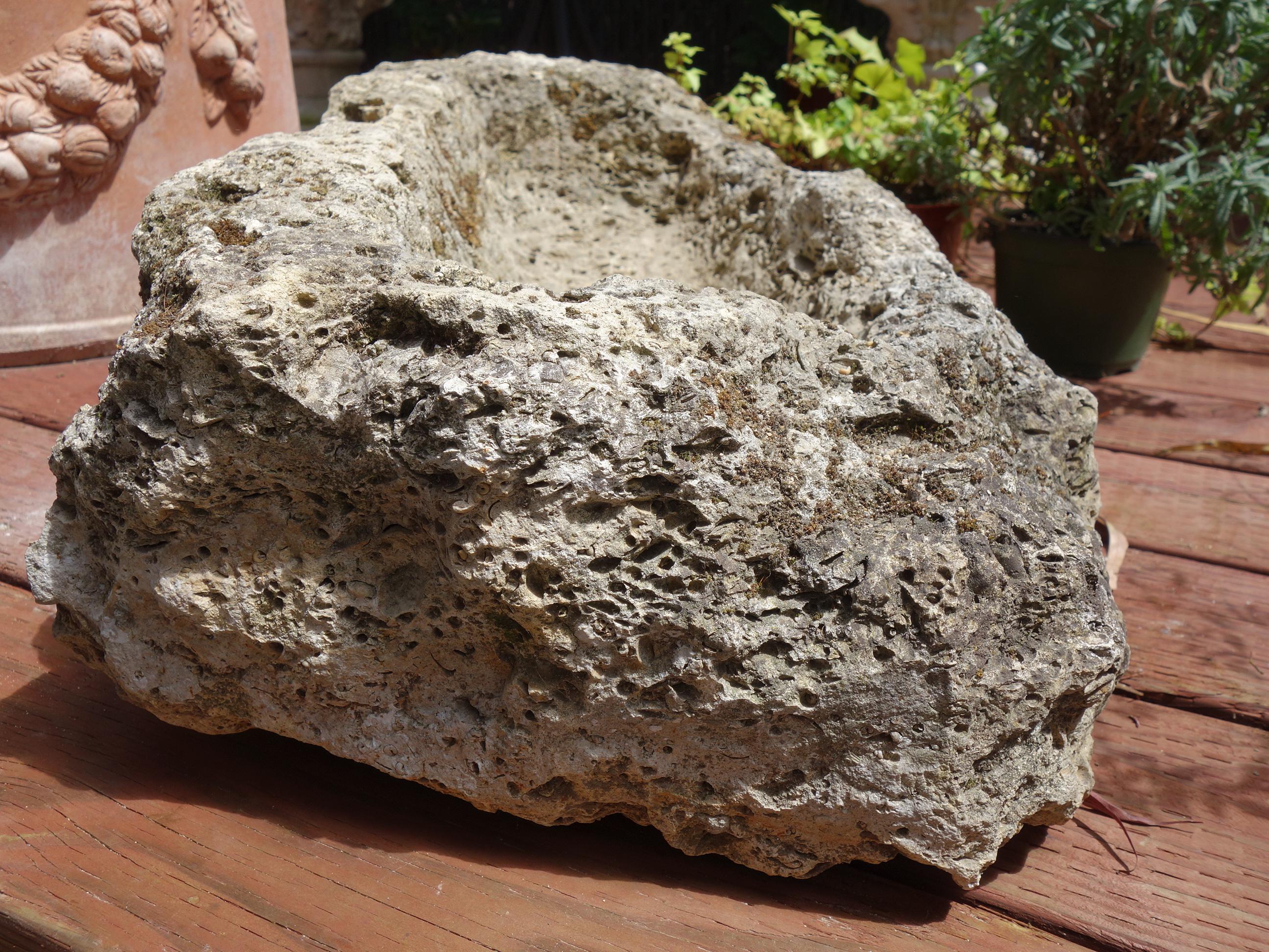 Old Italian Primitive Fossil Stone Trough Hand Carved from Ancient Limestone  For Sale 8
