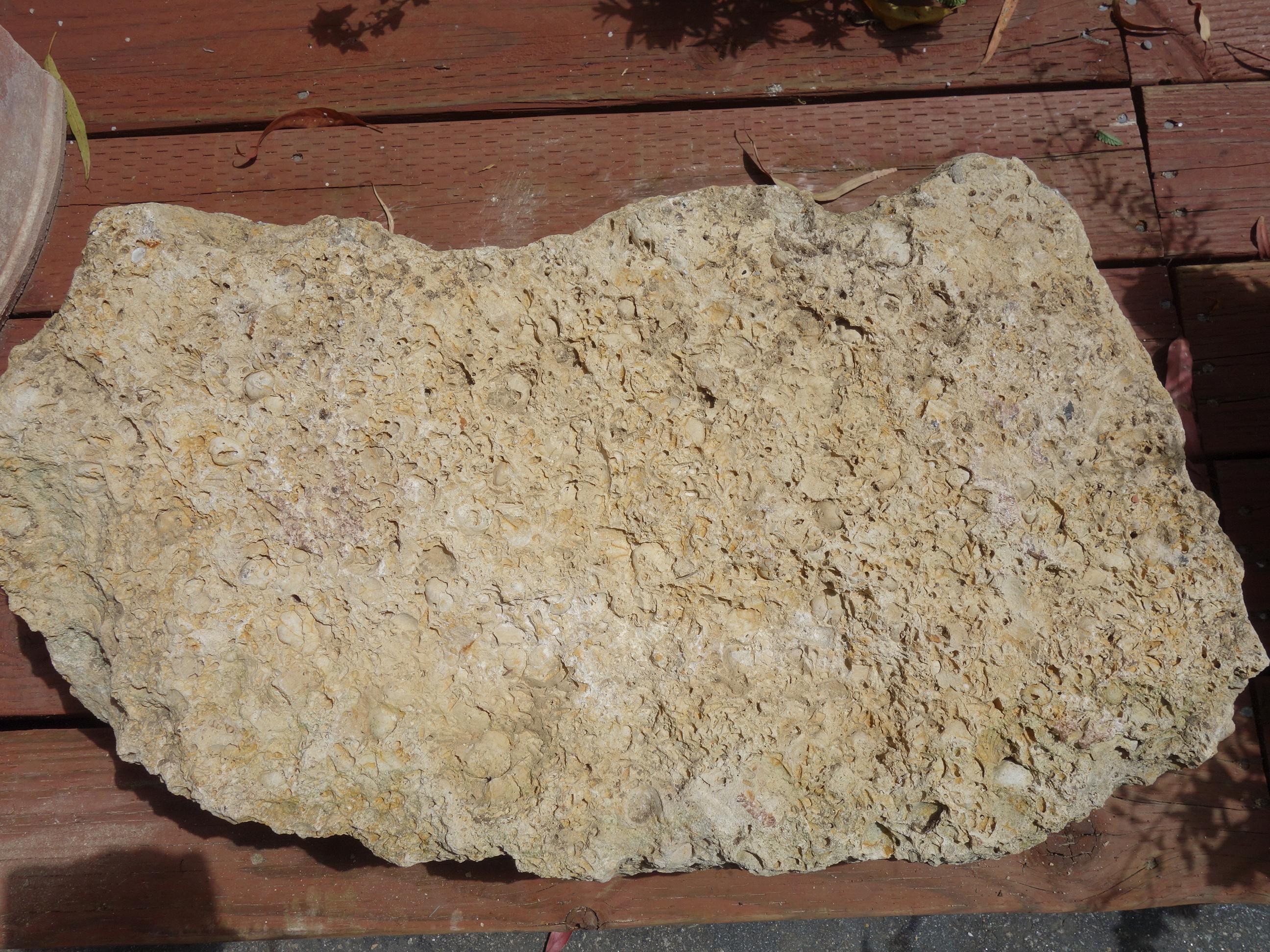 Old Italian Primitive Fossil Stein Trog Hand aus alten Kalkstein geschnitzt im Angebot 13