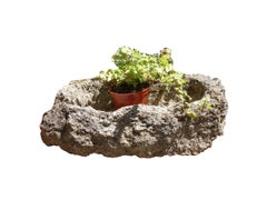 Antico abbeveratoio primitivo italiano in pietra calcarea intagliata a mano