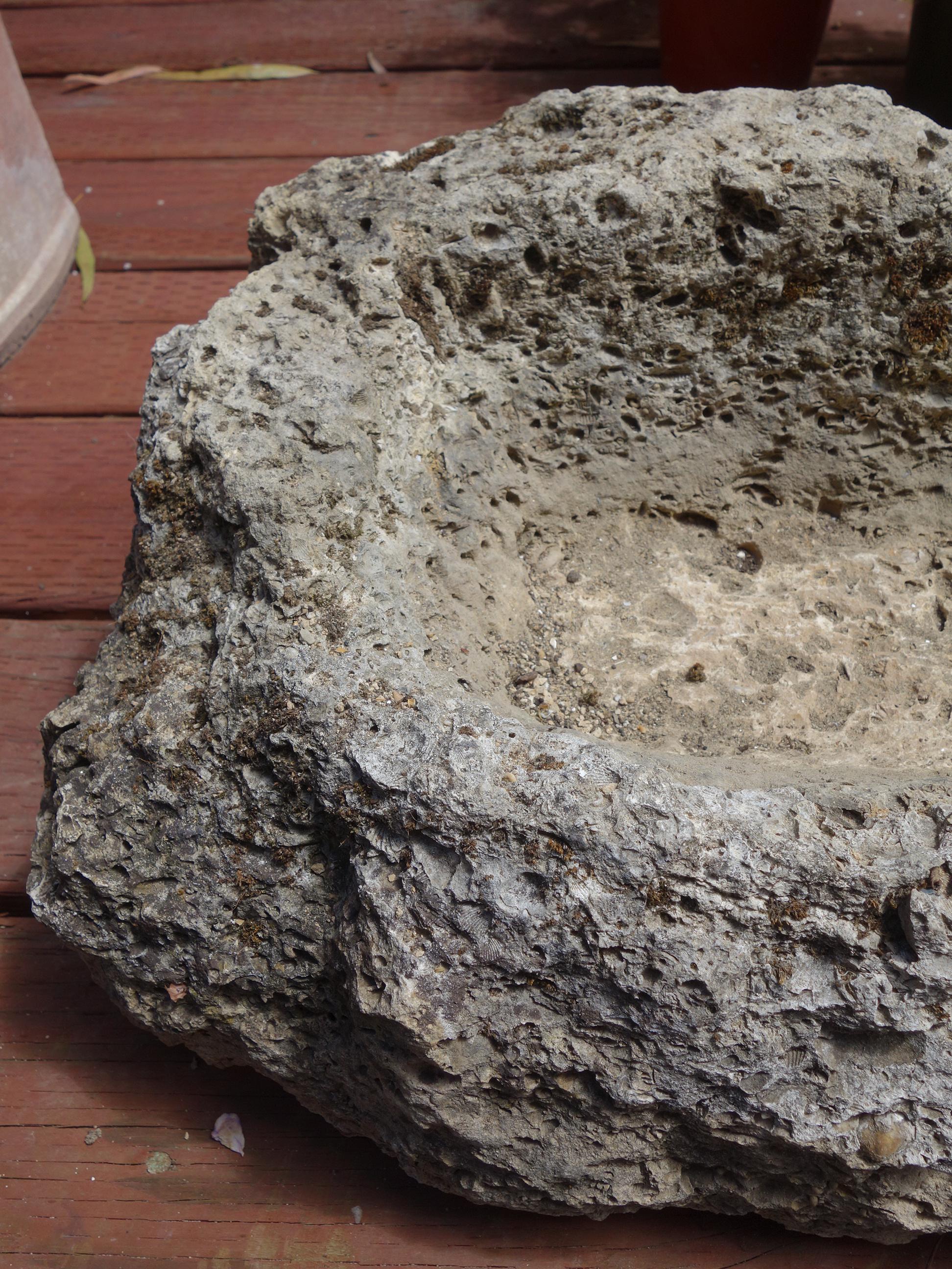 Hand-Carved Old Italian Primitive Fossil Stone Trough Hand Carved from Ancient Limestone  For Sale