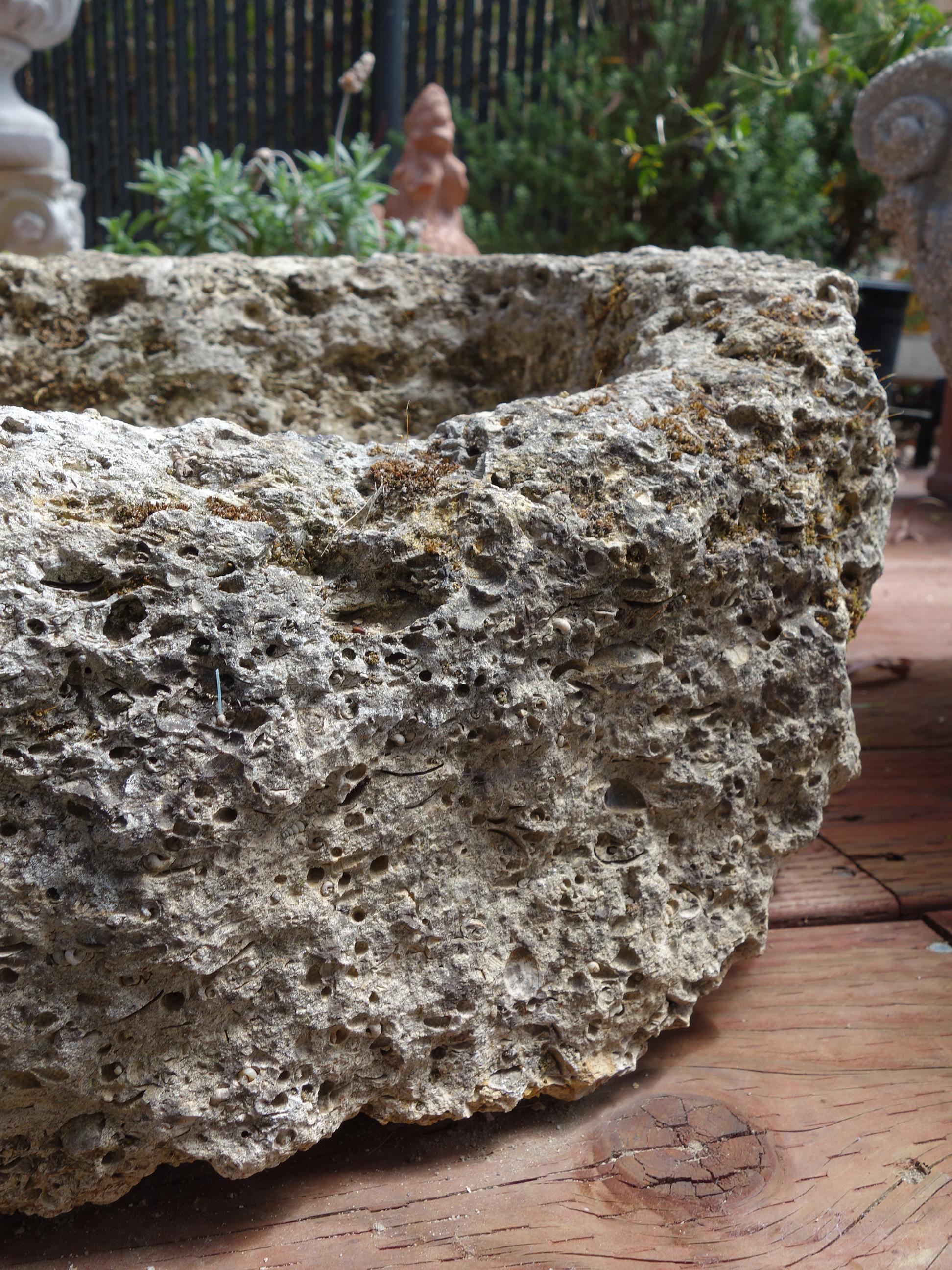 Old Italian Primitive Fossil Stein Trog Hand aus alten Kalkstein geschnitzt im Angebot 3