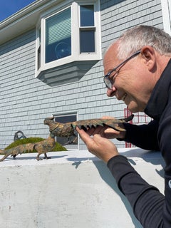 Old Japan Pair Exotic Gilt Long Tailed Pheasants
