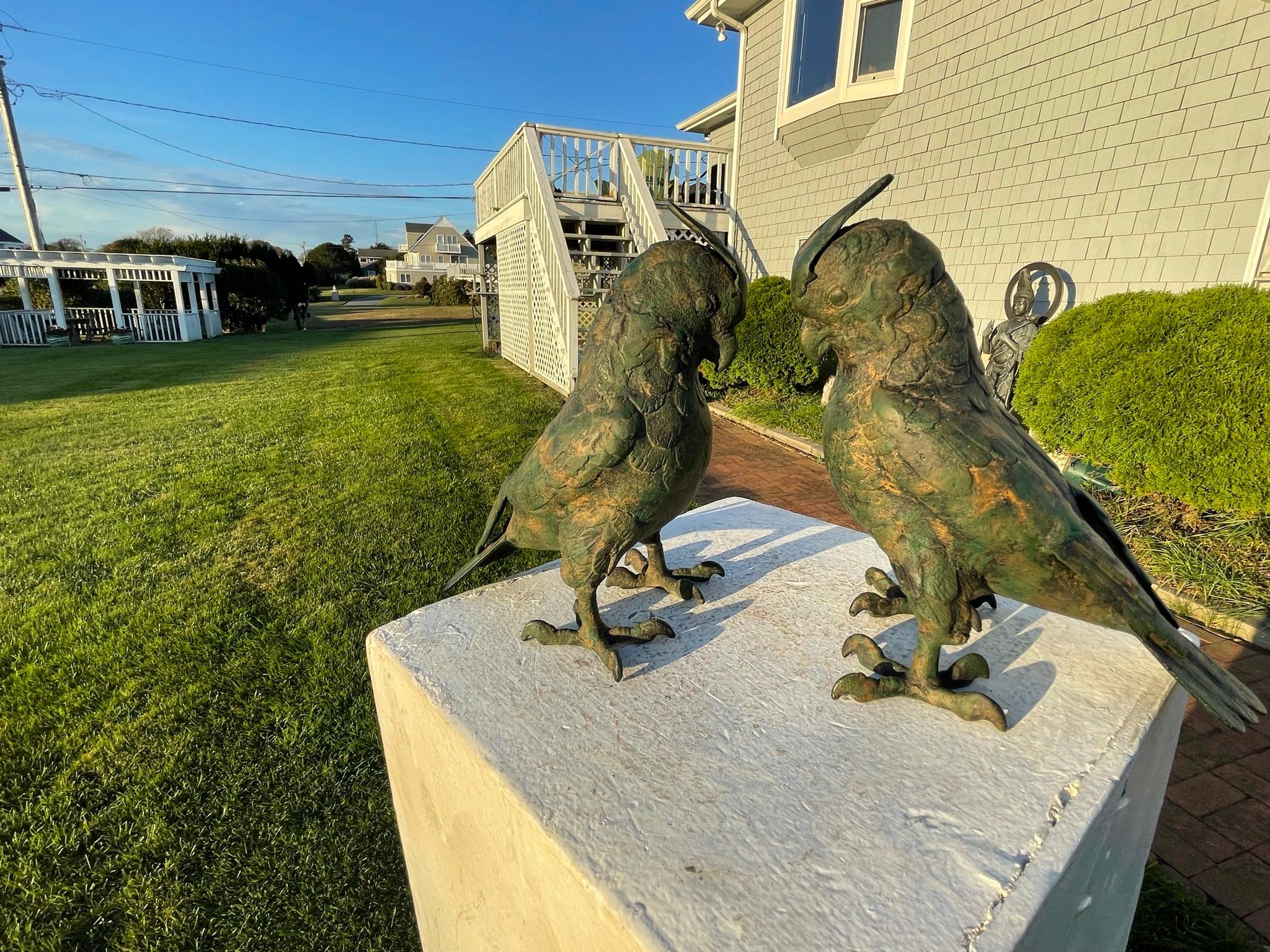 Meiji Old Japan Pair Magnificent Bronze Cockatoo Parrots