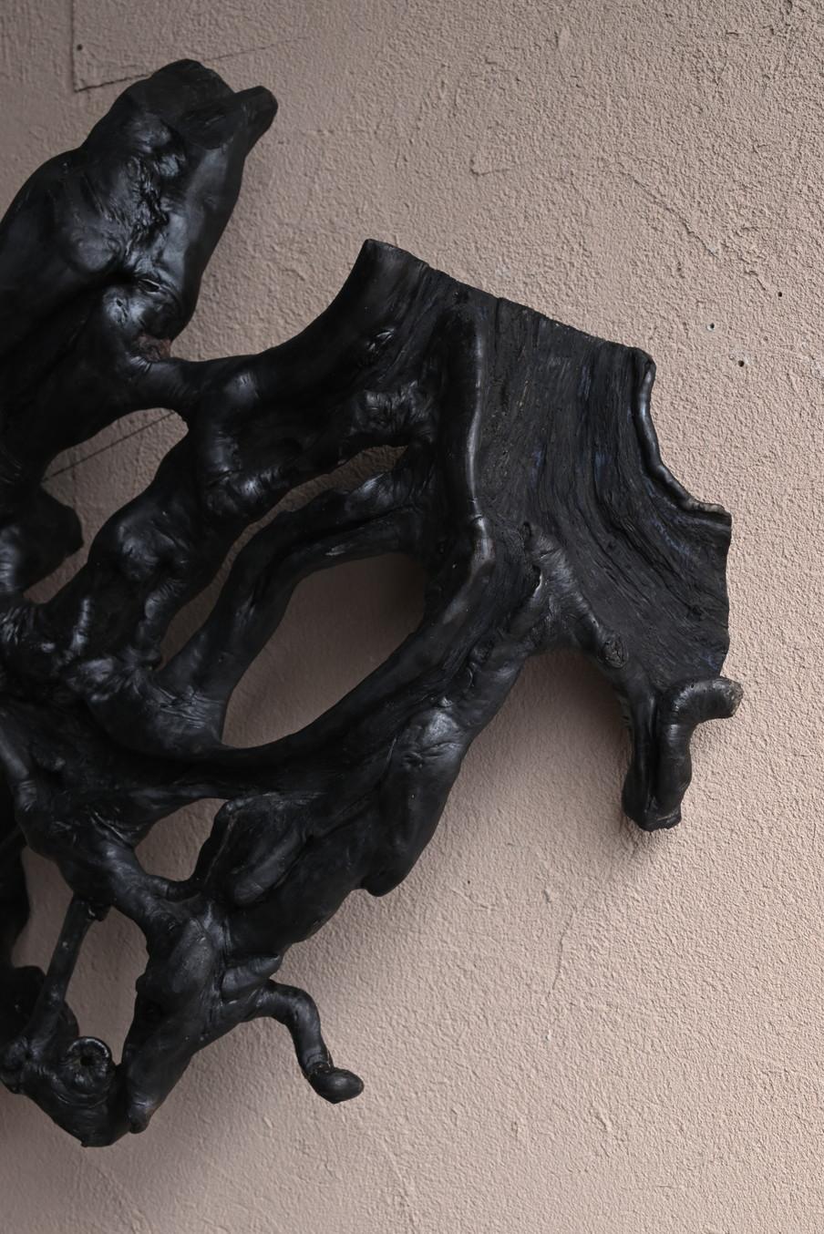Objeto antiguo de raíz japonesa/Ornamento de pared/Decoración de pared en venta 1