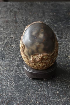 Ancienne pierre d'érudit japonaise de forme ovale/pierre d'appréciation incurvée