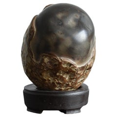 Stein eines alten japanischen Gelehrten/Oval gebogener, schöner geschwungener Wertschätzungsstein