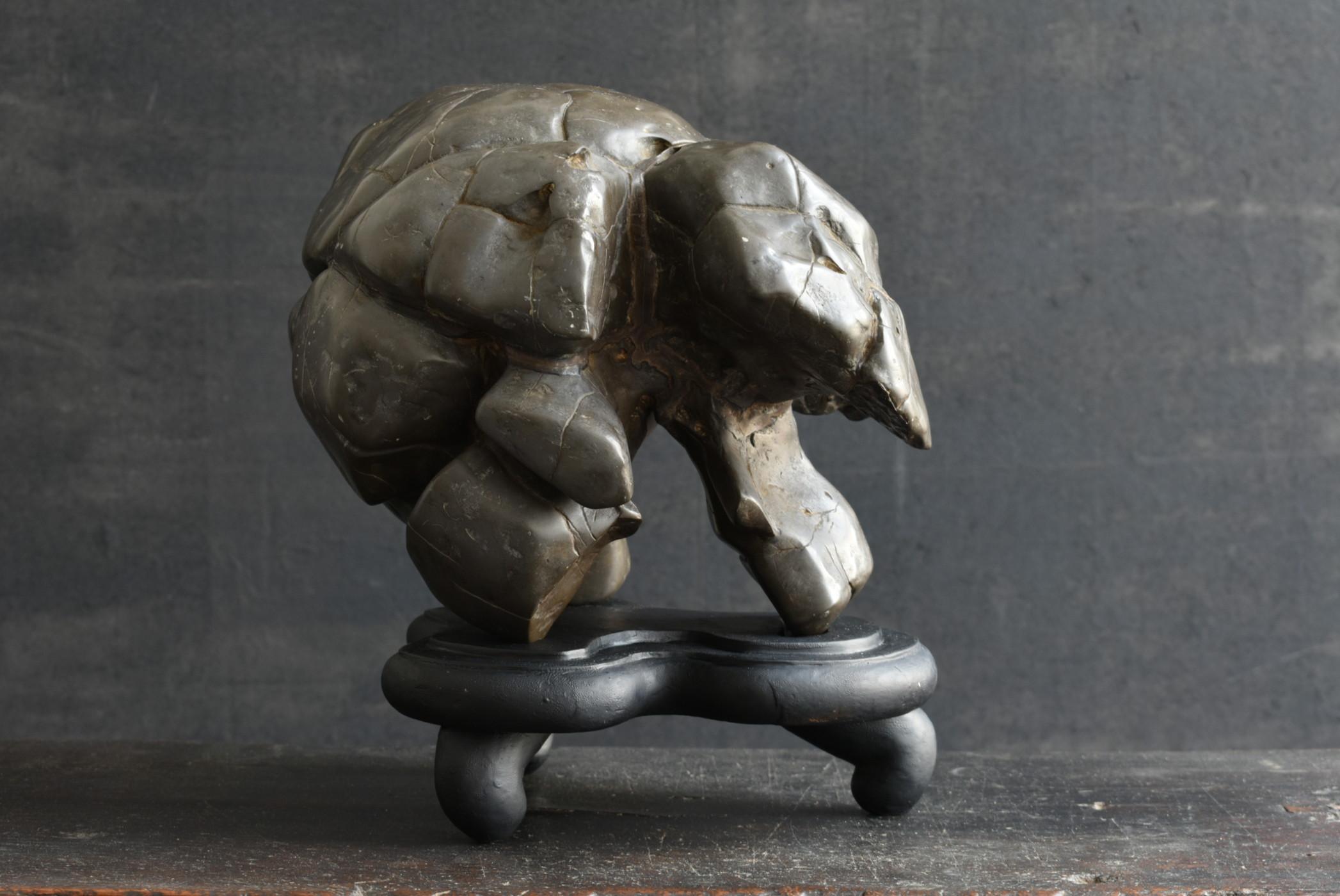 Ancienne pierre d'érudit japonaise/coquille de tortue Type pierre/appréciation pierre/suiseki en vente 2