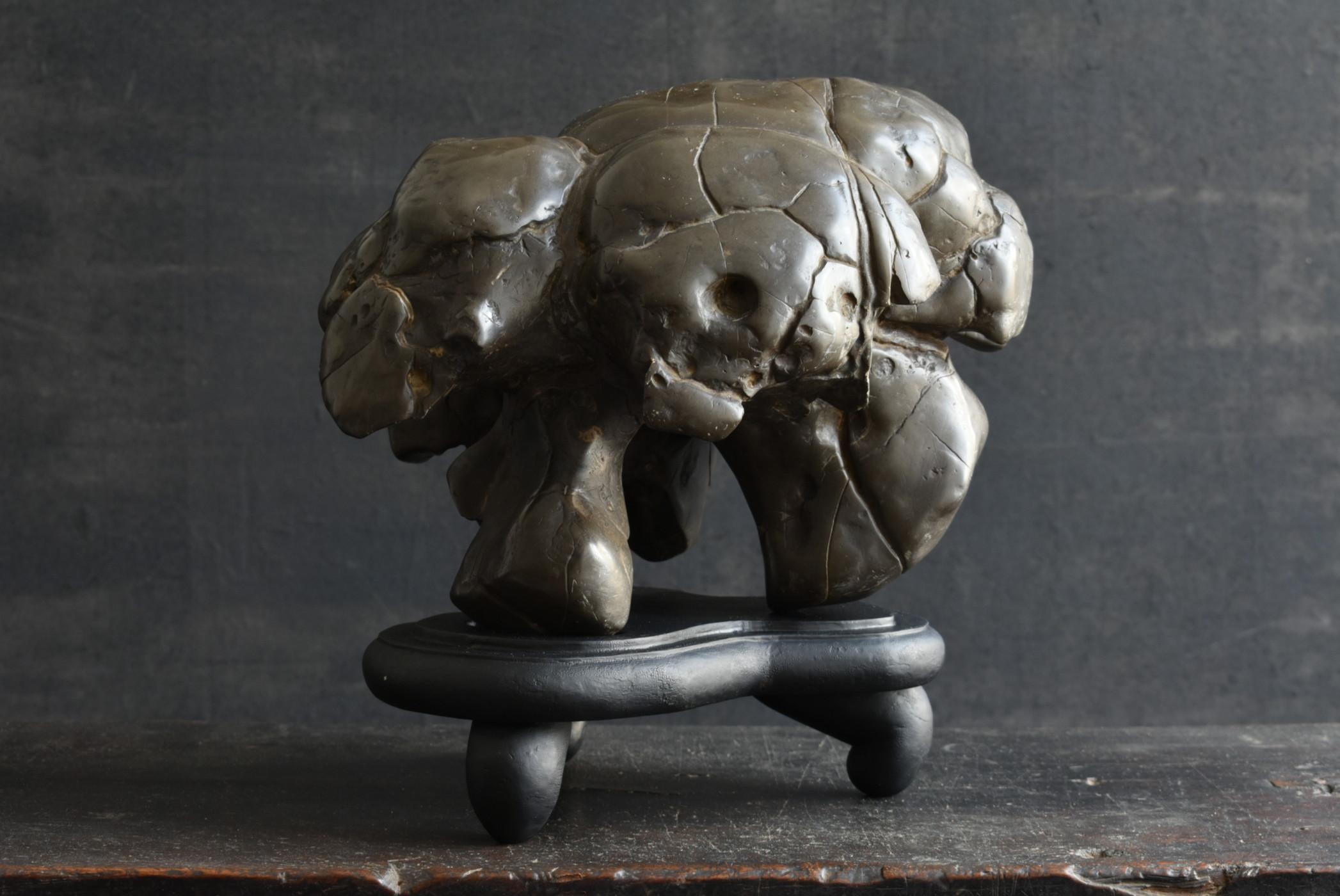 Ancienne pierre d'érudit japonaise/coquille de tortue Type pierre/appréciation pierre/suiseki en vente 4