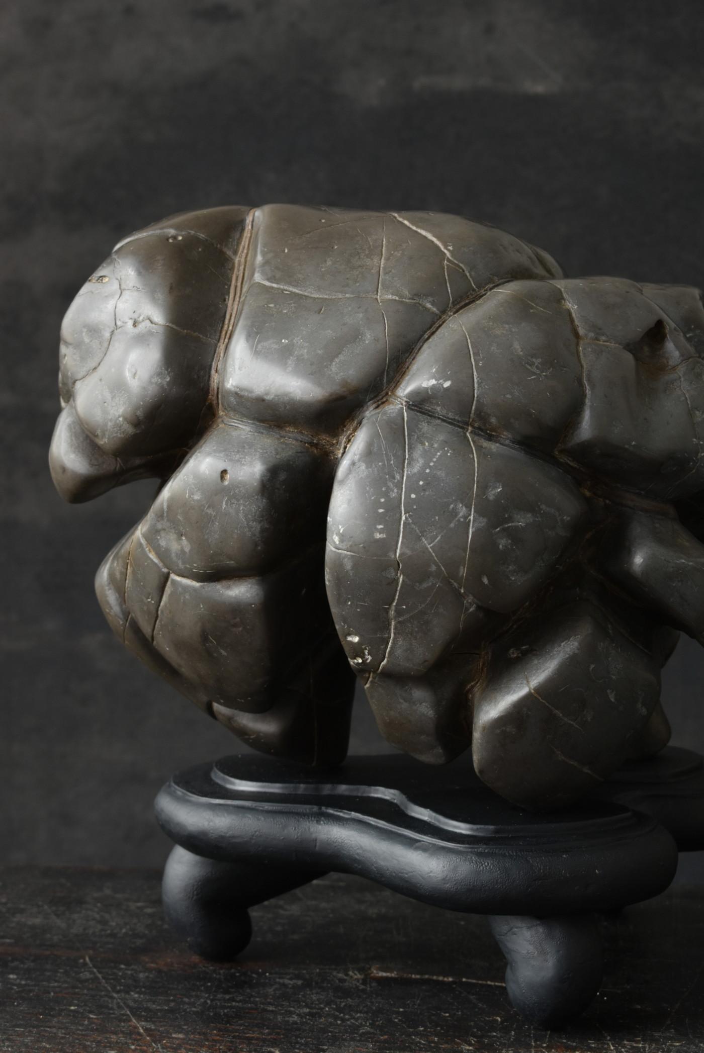 Old Japanese Scholar's Stone/Tortoise Shell Type Stone/AppreciationStone/suiseki For Sale 7