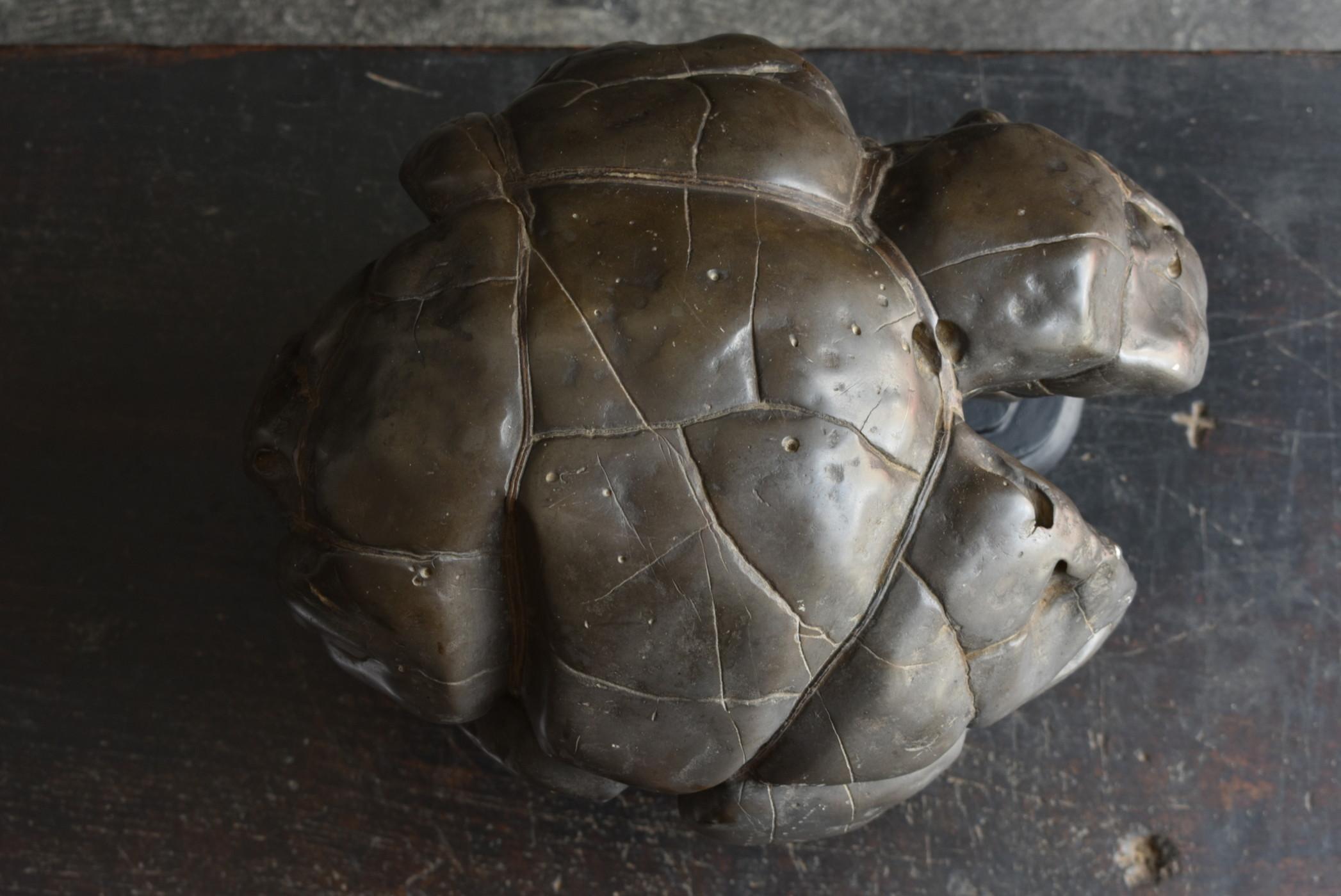Old Japanese Scholar's Stone/Tortoise Shell Type Stone/AppreciationStone/suiseki For Sale 8