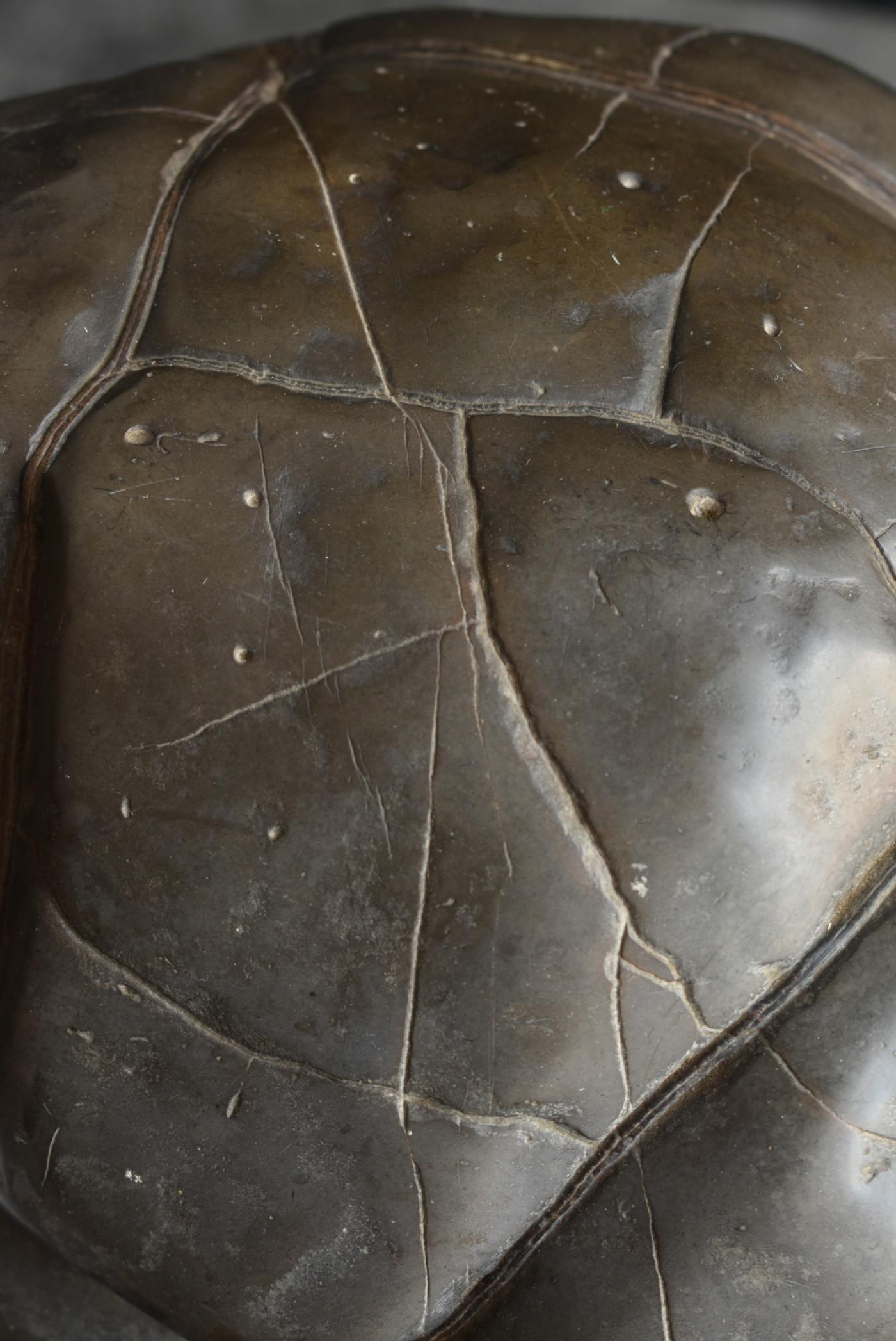 Old Japanese Scholar's Stone/Tortoise Shell Type Stone/AppreciationStone/suiseki For Sale 9