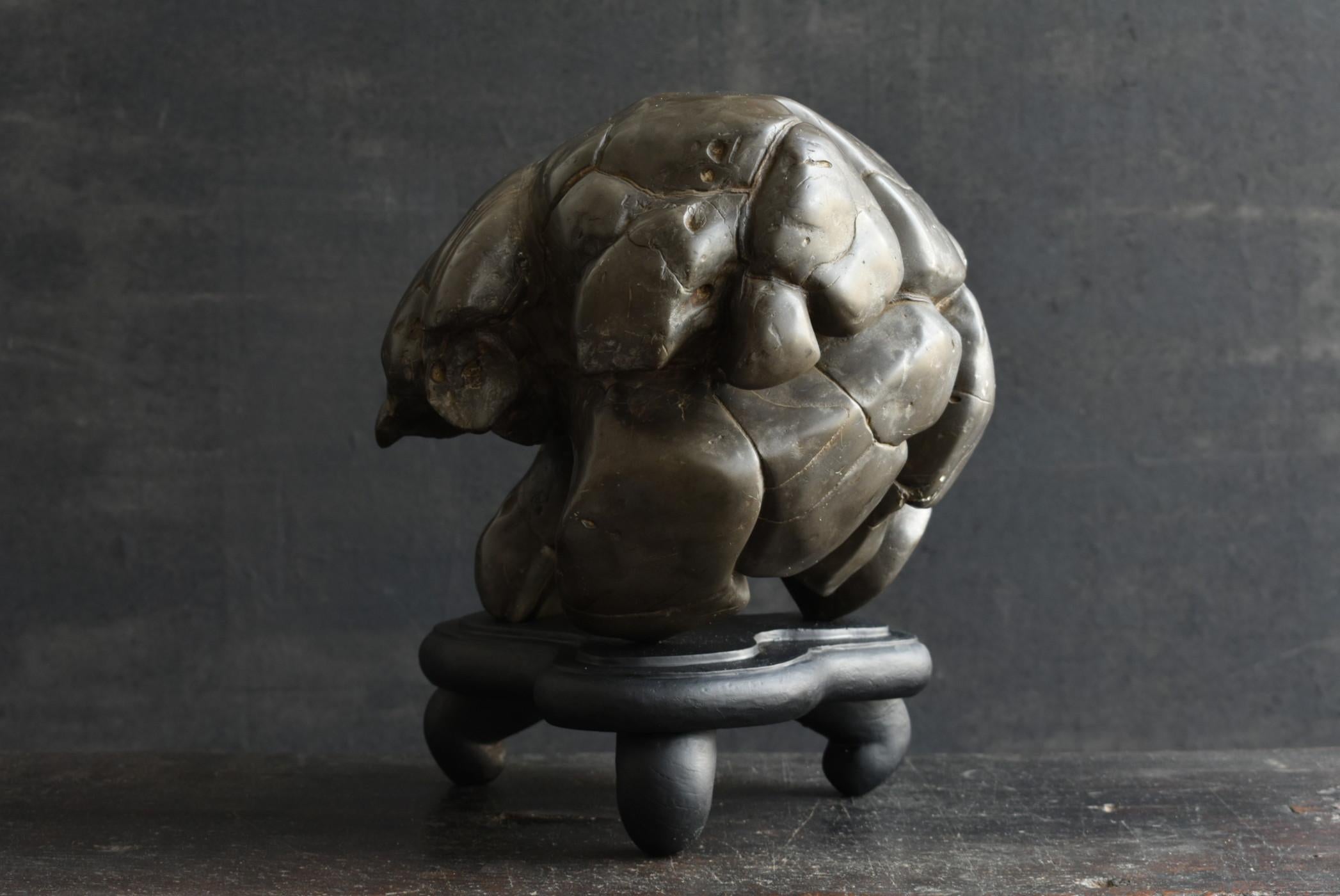 Pierre Ancienne pierre d'érudit japonaise/coquille de tortue Type pierre/appréciation pierre/suiseki en vente