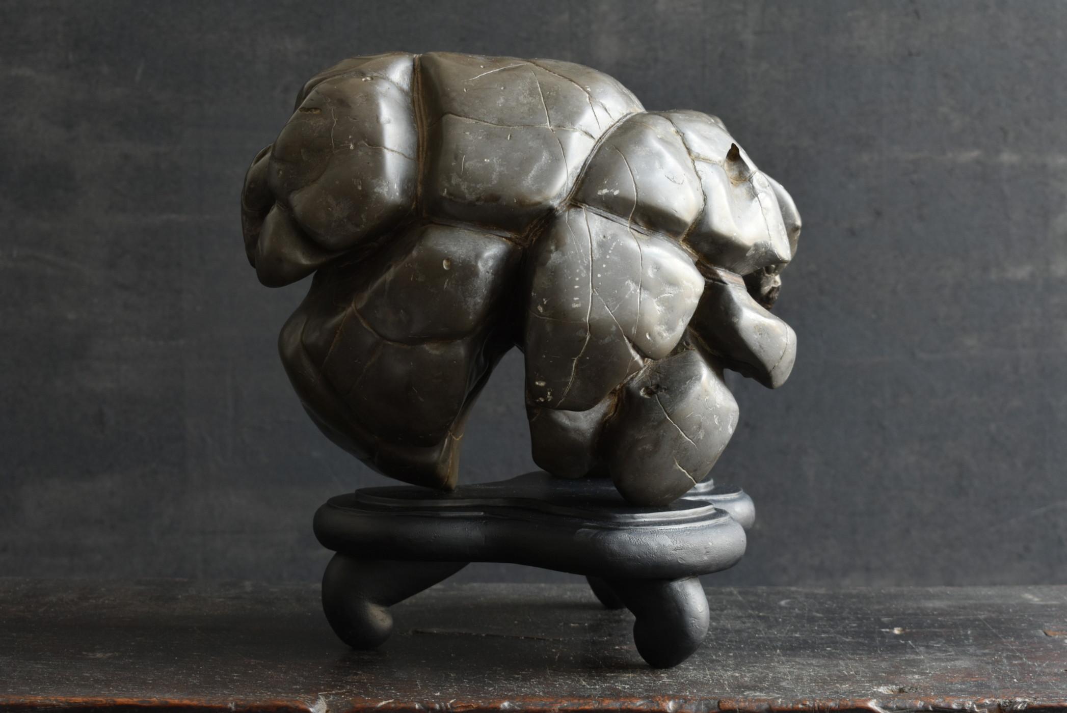 Old Japanese Scholar's Stone/Tortoise Shell Type Stone/AppreciationStone/suiseki For Sale 3