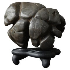 Antique Old Japanese Scholar's Stone/Tortoise Shell Type Stone/AppreciationStone/suiseki