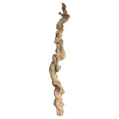 Old Japanese Tree Root Objects / Stone-Bearing Roots / Wall Decorations