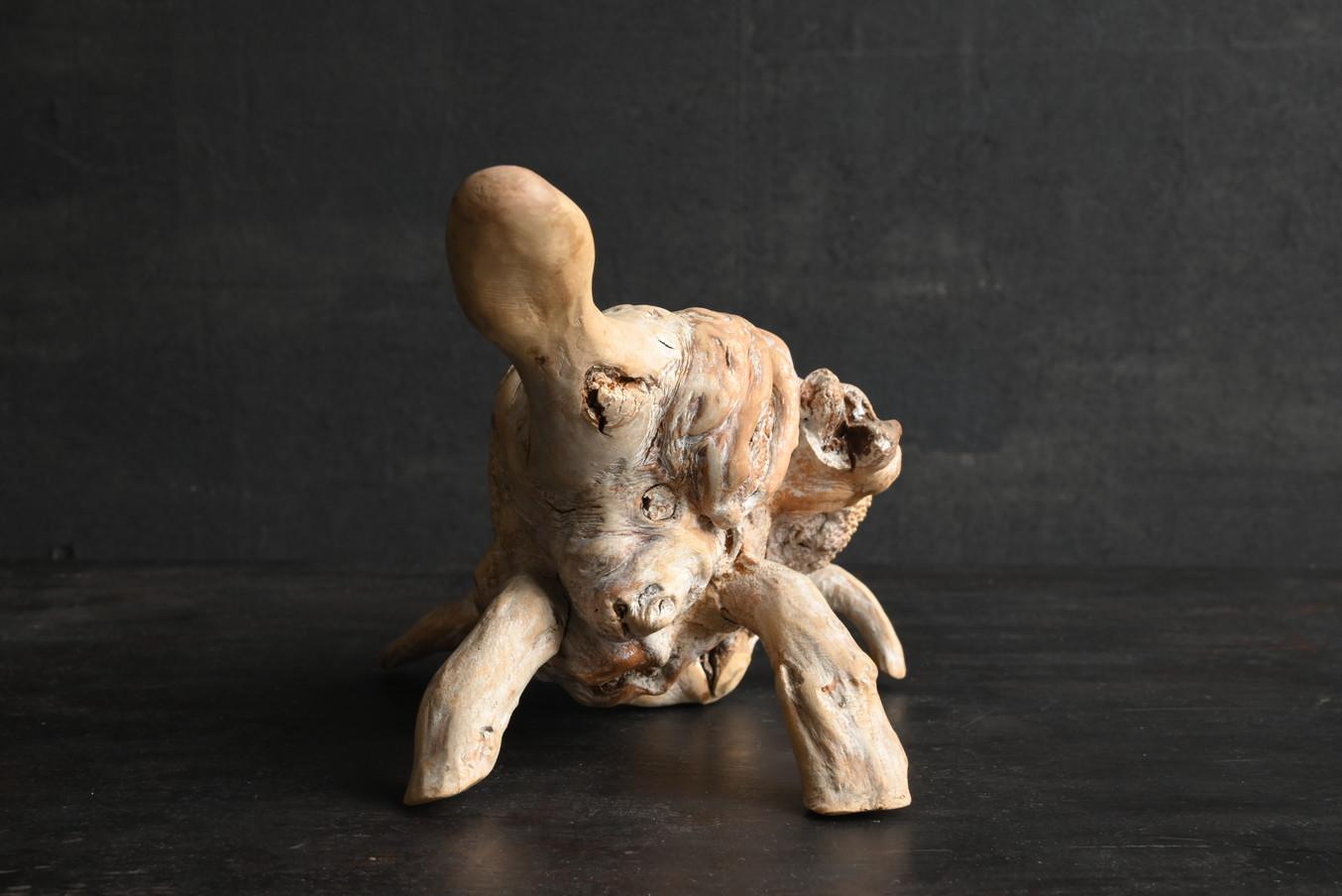 Ancien objet japonais de sculpture en bois en forme de tortue/début du 20e siècle/champignon en bois en vente 2