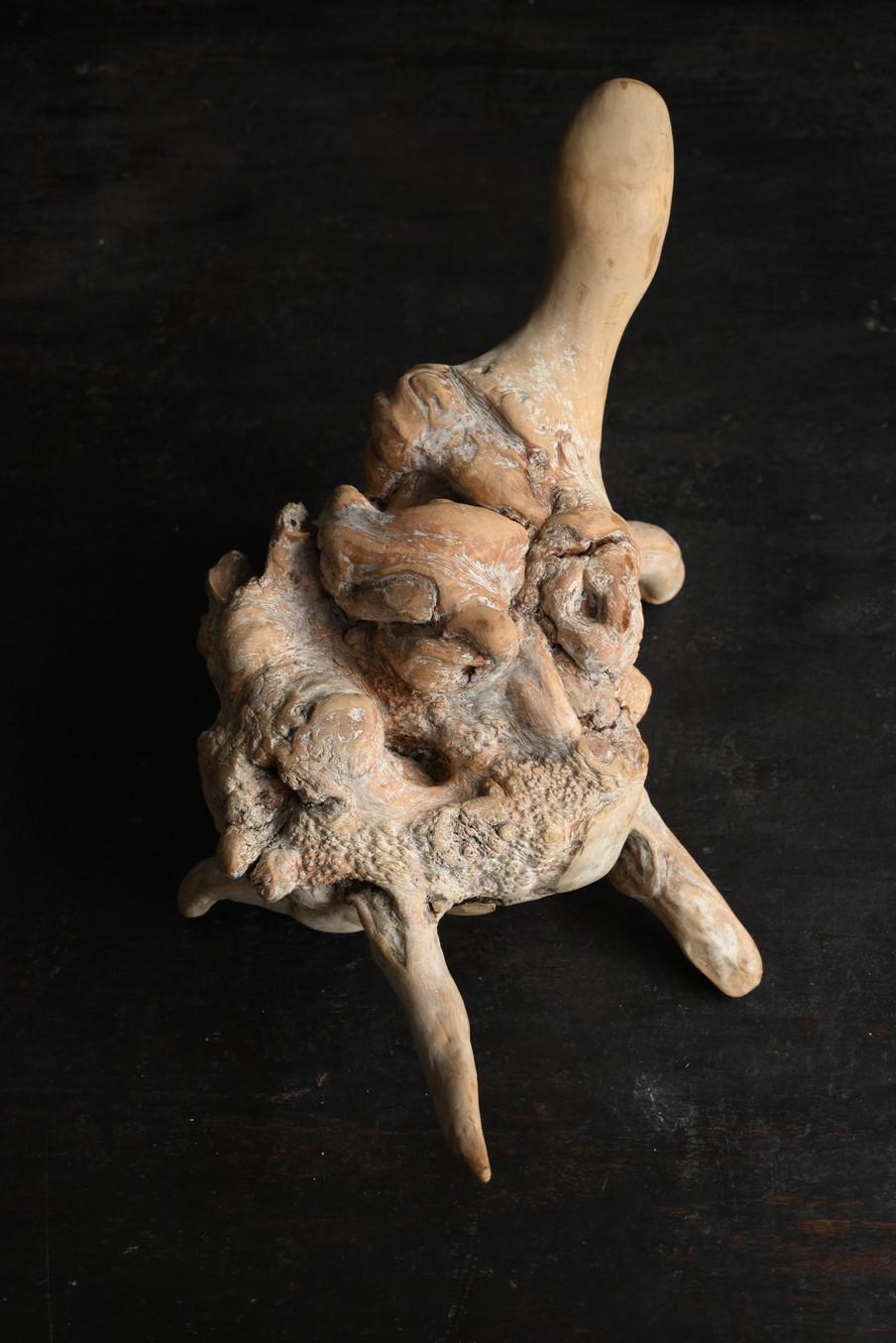 Ancien objet japonais de sculpture en bois en forme de tortue/début du 20e siècle/champignon en bois en vente 3