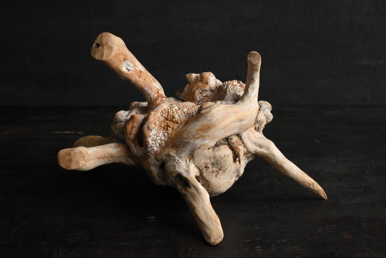 Ancien objet japonais de sculpture en bois en forme de tortue/début du 20e siècle/champignon en bois en vente 6