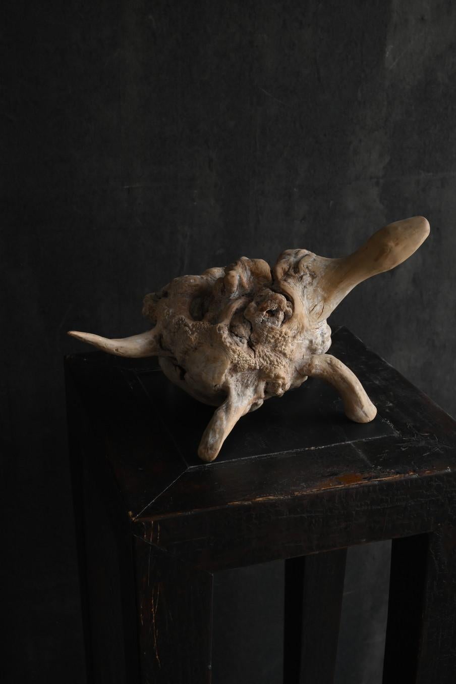 Sculpté à la main Ancien objet japonais de sculpture en bois en forme de tortue/début du 20e siècle/champignon en bois en vente