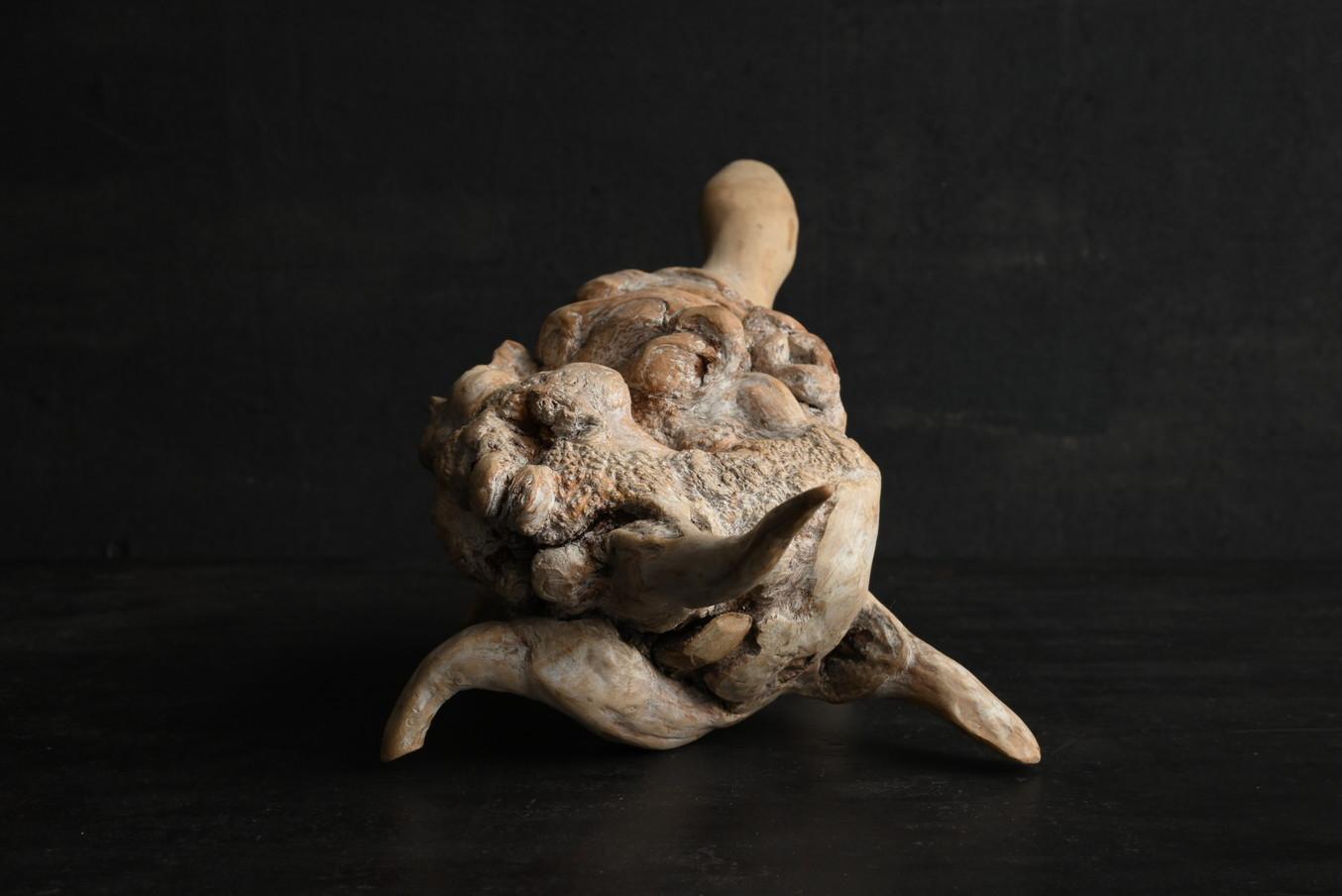 Bois Ancien objet japonais de sculpture en bois en forme de tortue/début du 20e siècle/champignon en bois en vente