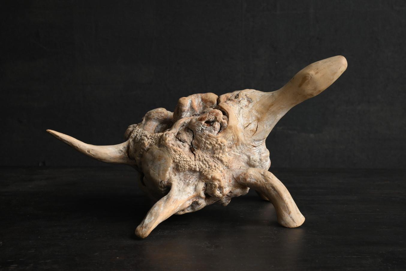 Ancien objet japonais de sculpture en bois en forme de tortue/début du 20e siècle/champignon en bois en vente 1