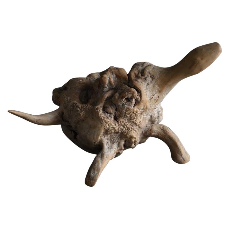Altes japanisches schildkrötenförmiges Holzschnitzobjekt/frühes 20. Jahrhundert/Holzlump