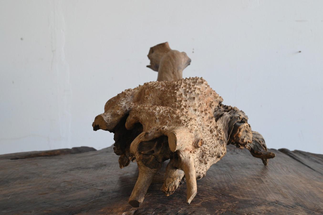 Ancien objet japonais en bois en forme de tortue/20e siècle/ornementation en bois naturel en vente 9