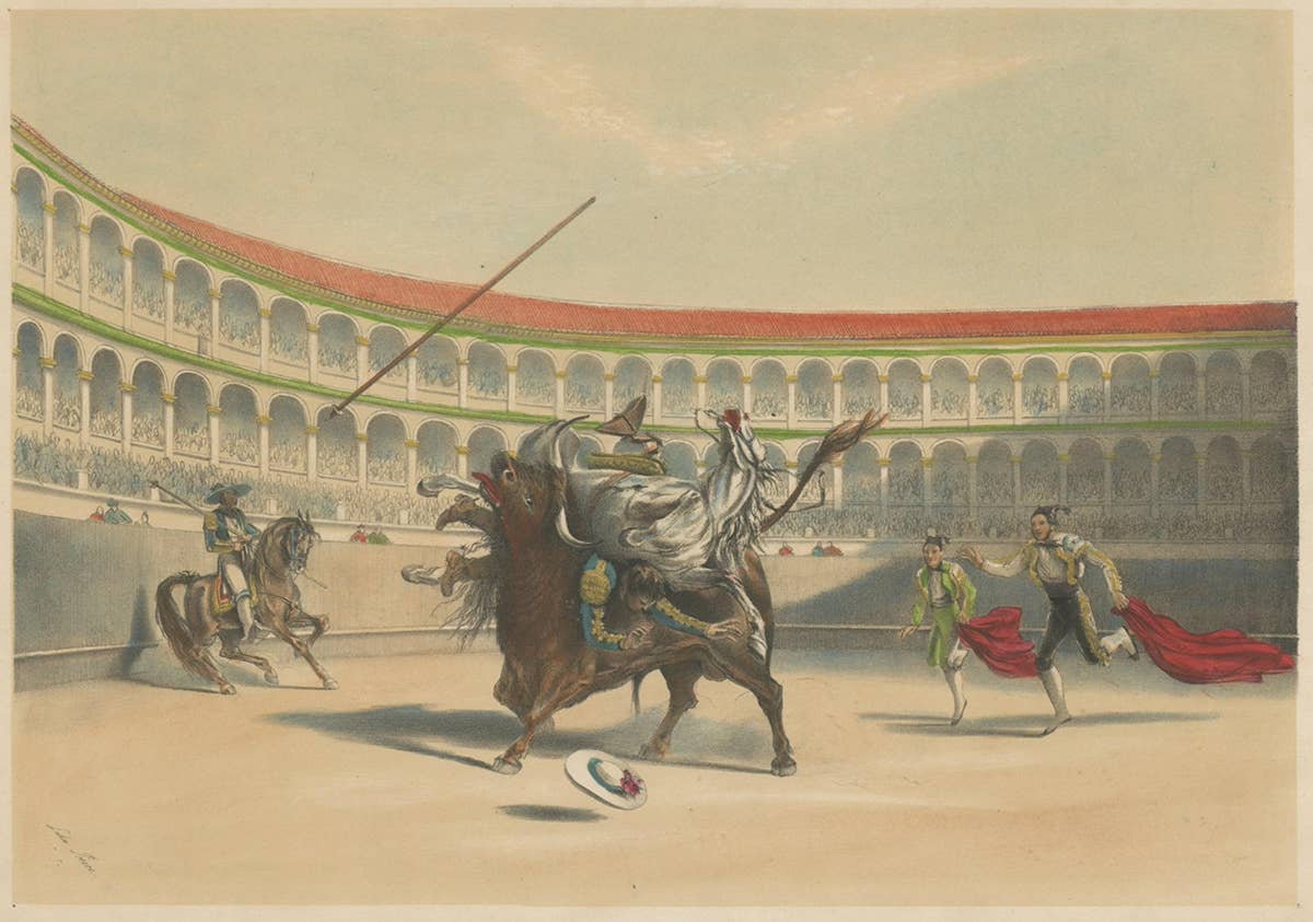 Old Lithograph of Bullfighting with The Bull Tossing The Picador & Horse, 1852