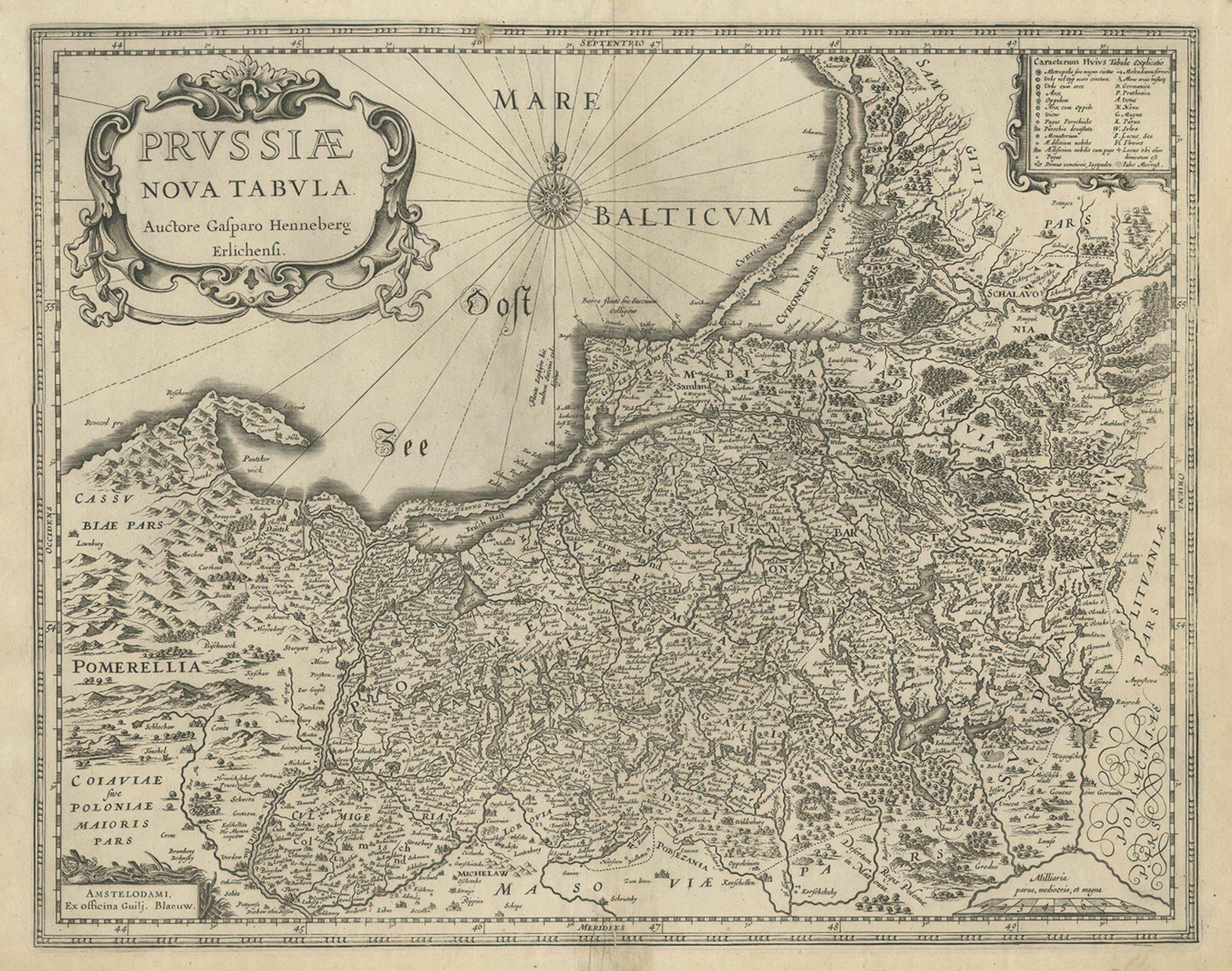old map compass rose