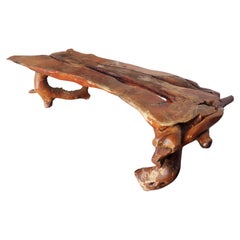 Natural Live Edge Burl Root Long Low Table Bench, Circa 1970
